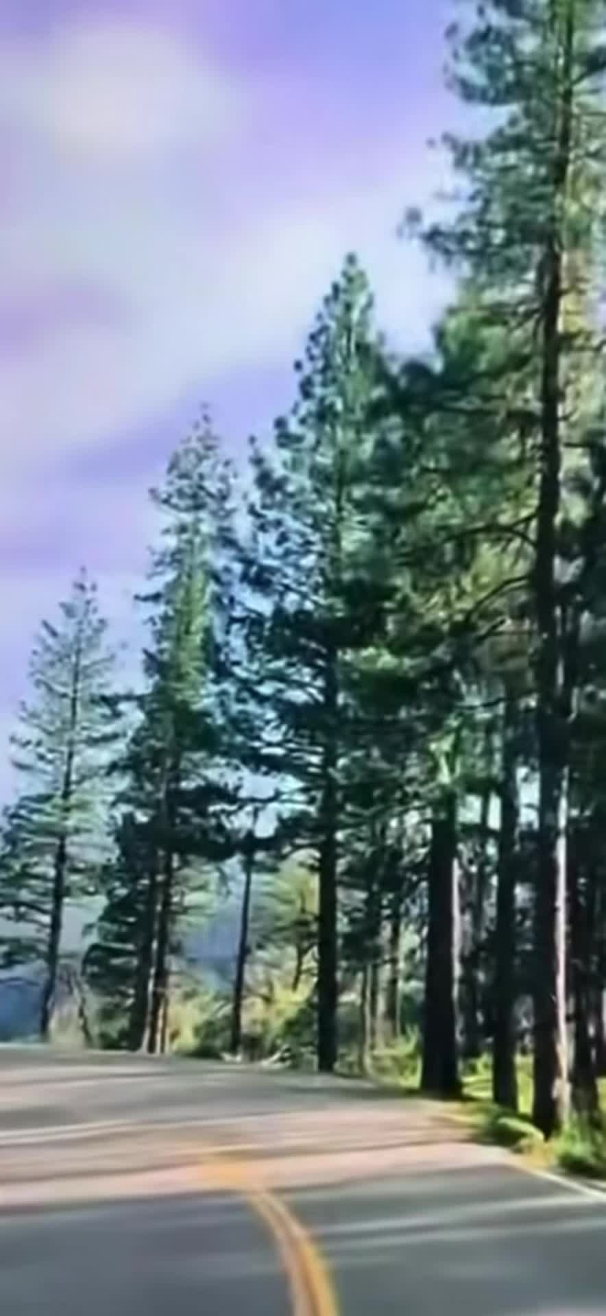 @777elmisterio🤔🪽