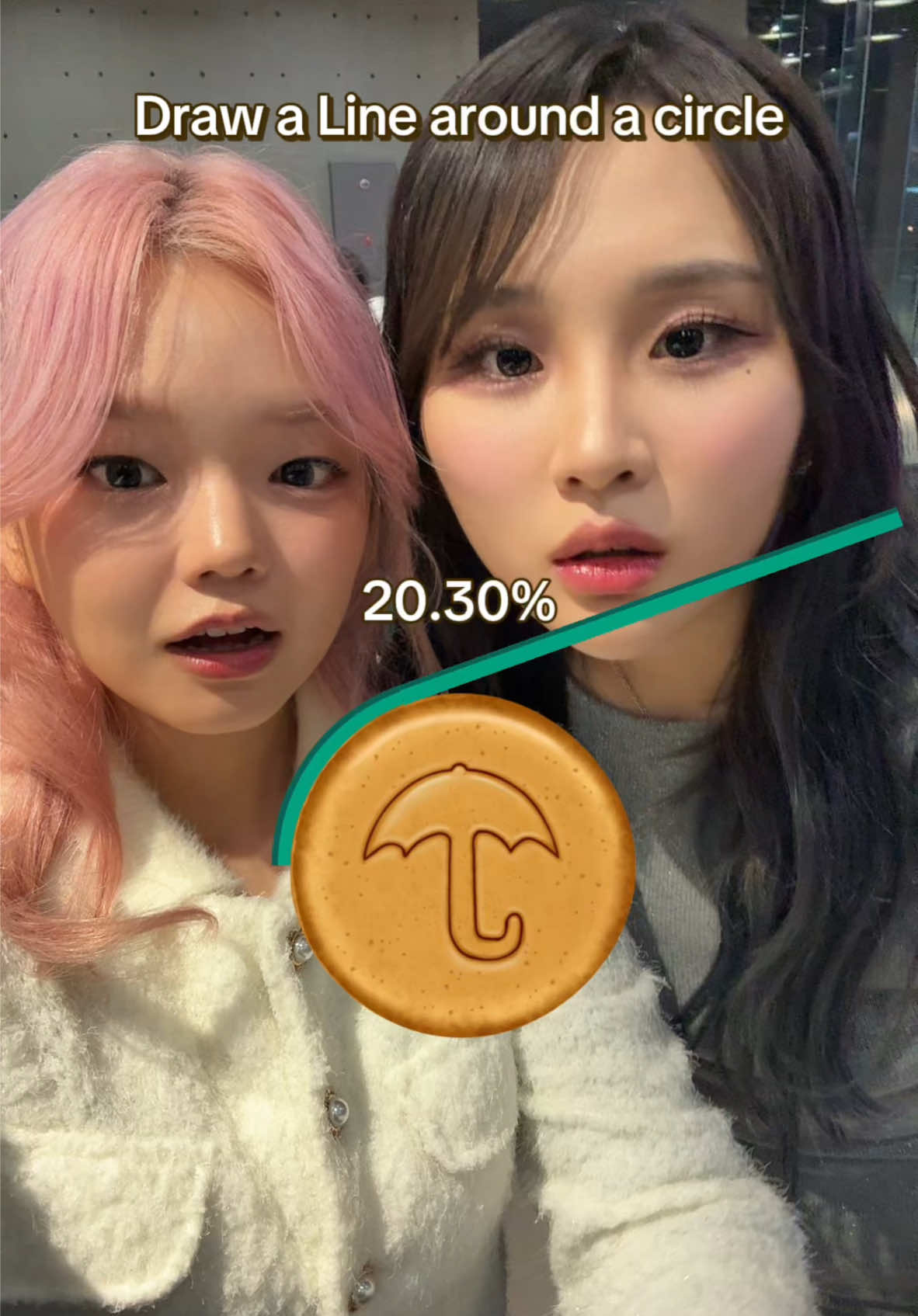 @ino Cat 이노냥