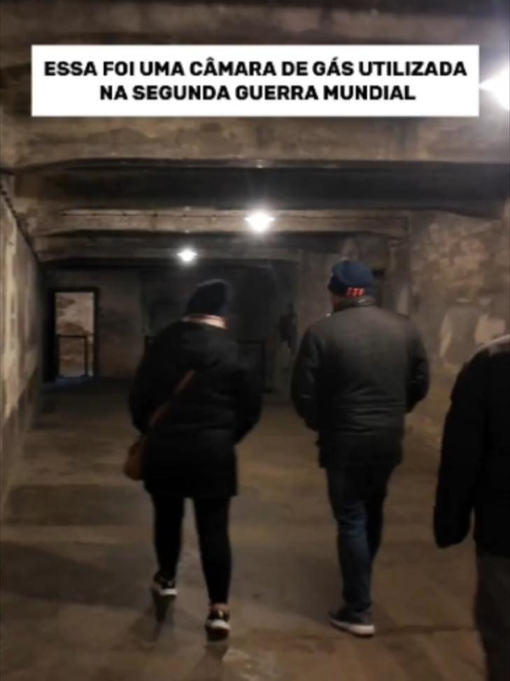 @vousemvoltaoficial