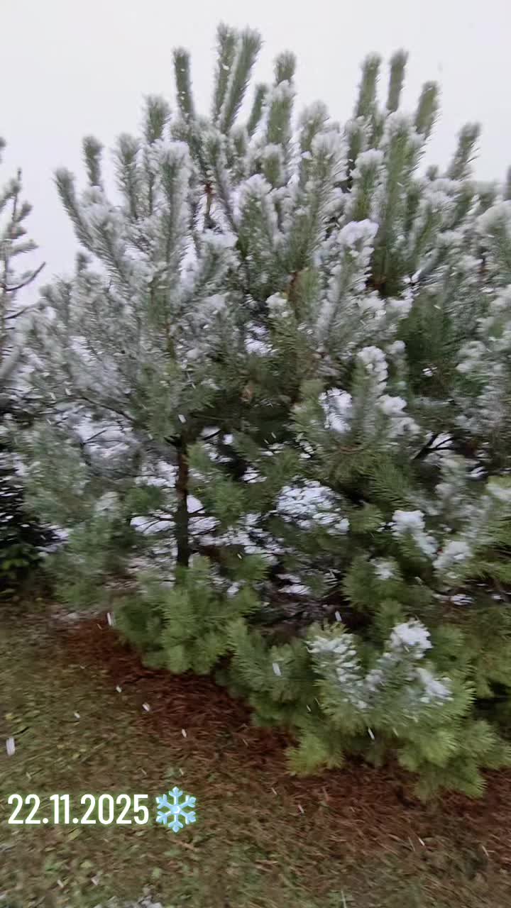 @Алеся Романюк