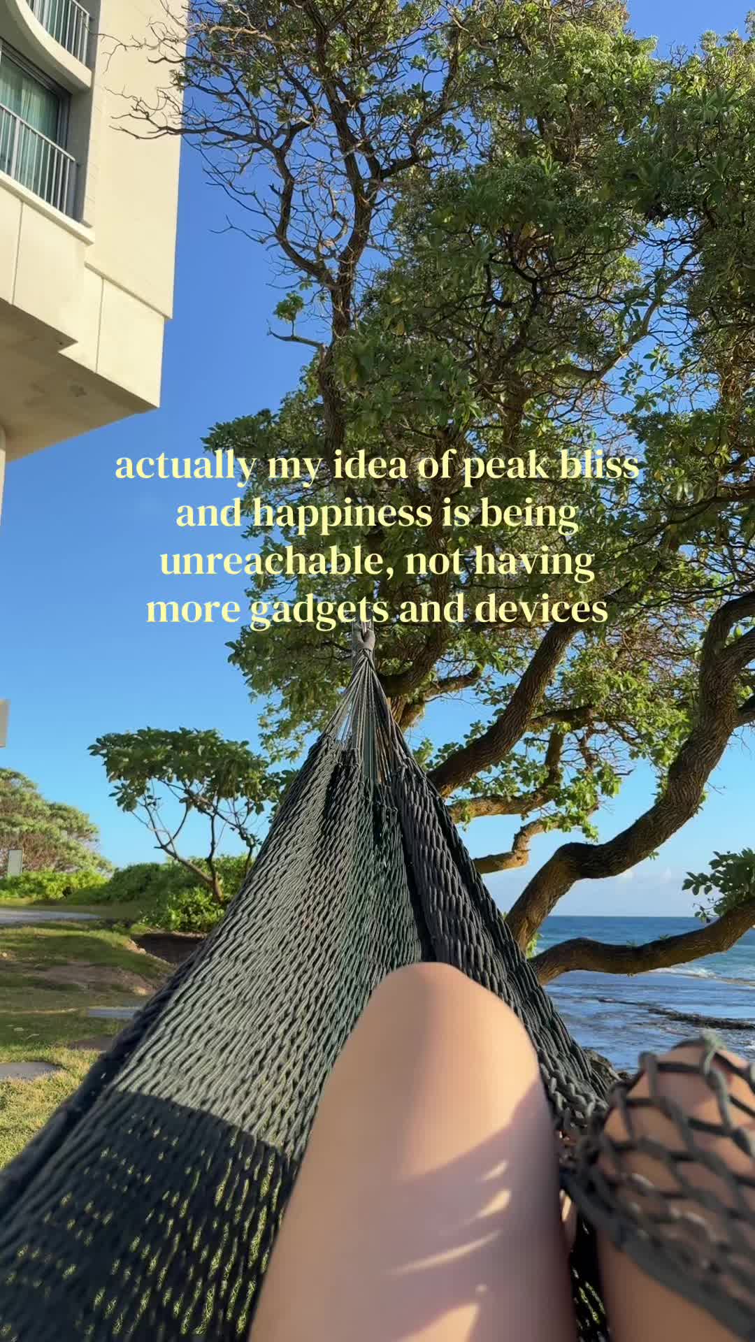 @koybean