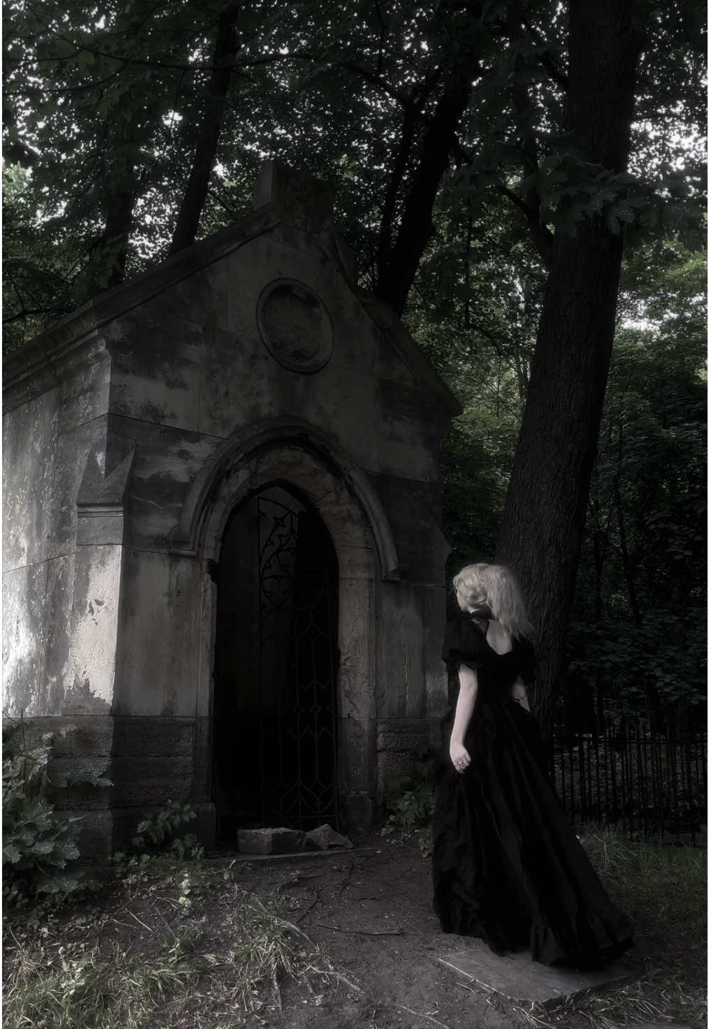 @🗝️🦷༄ 𝔄𝔩𝔦𝔠𝔢