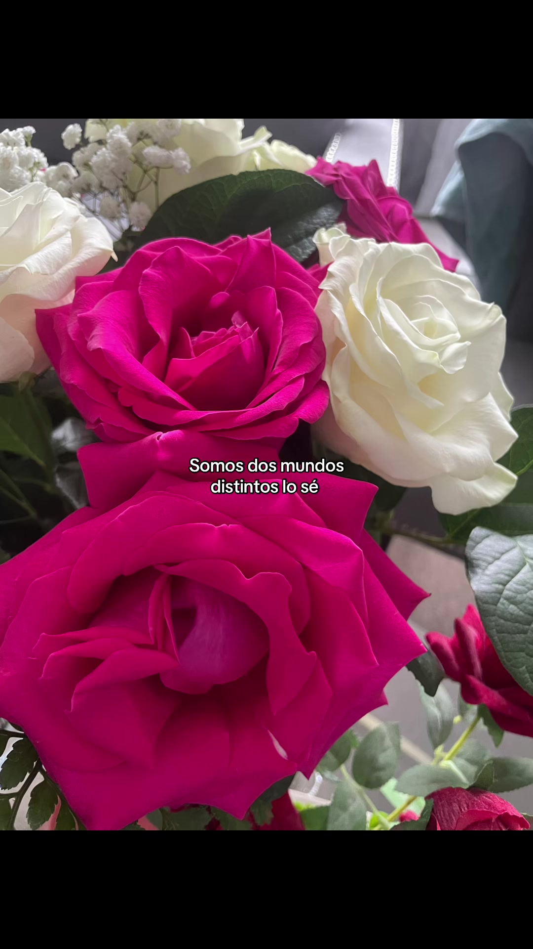 @💘Caritoooo🤪😛🧸🐙