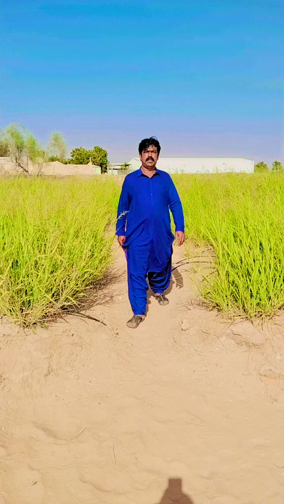 @❤️Muhammad_Ameen_Brohi❤️