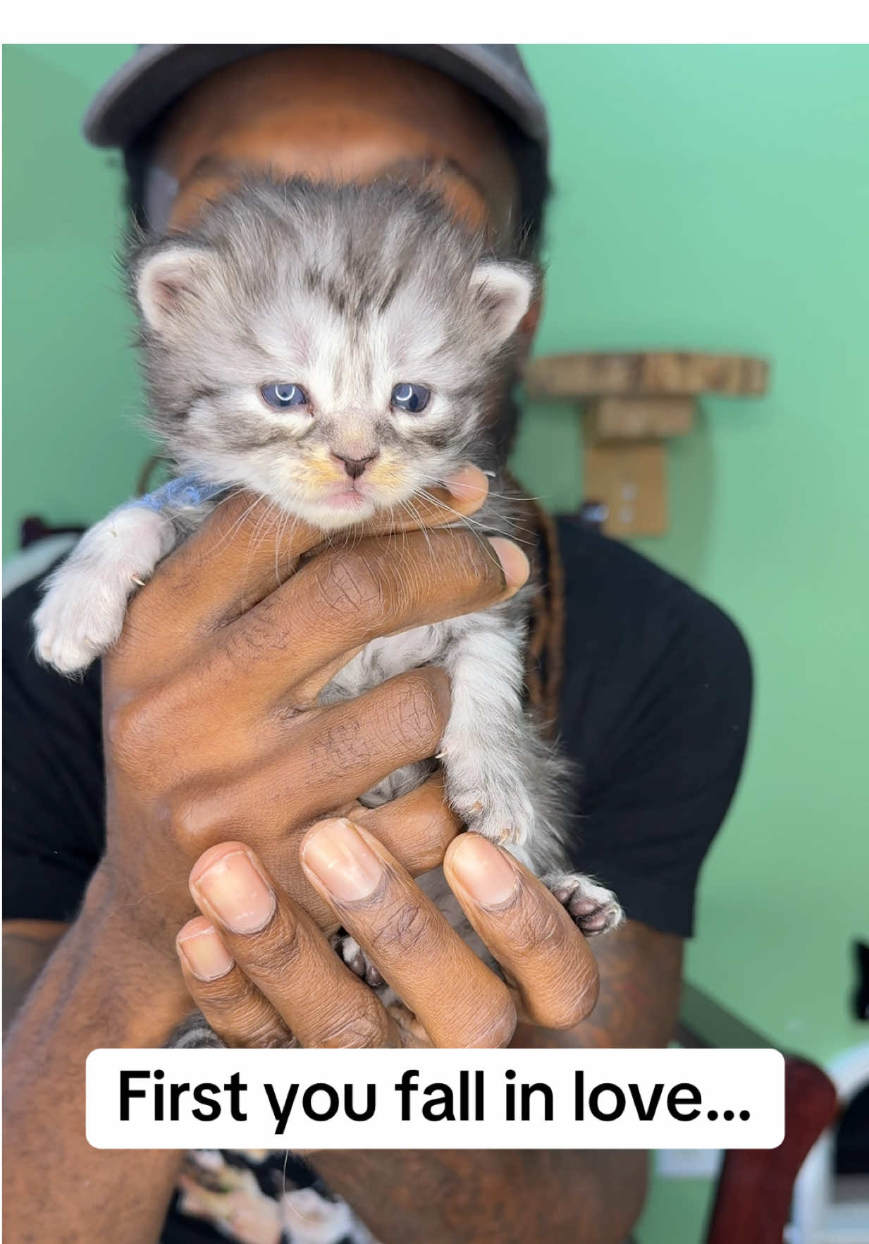 @Tycoon_Mainecoons