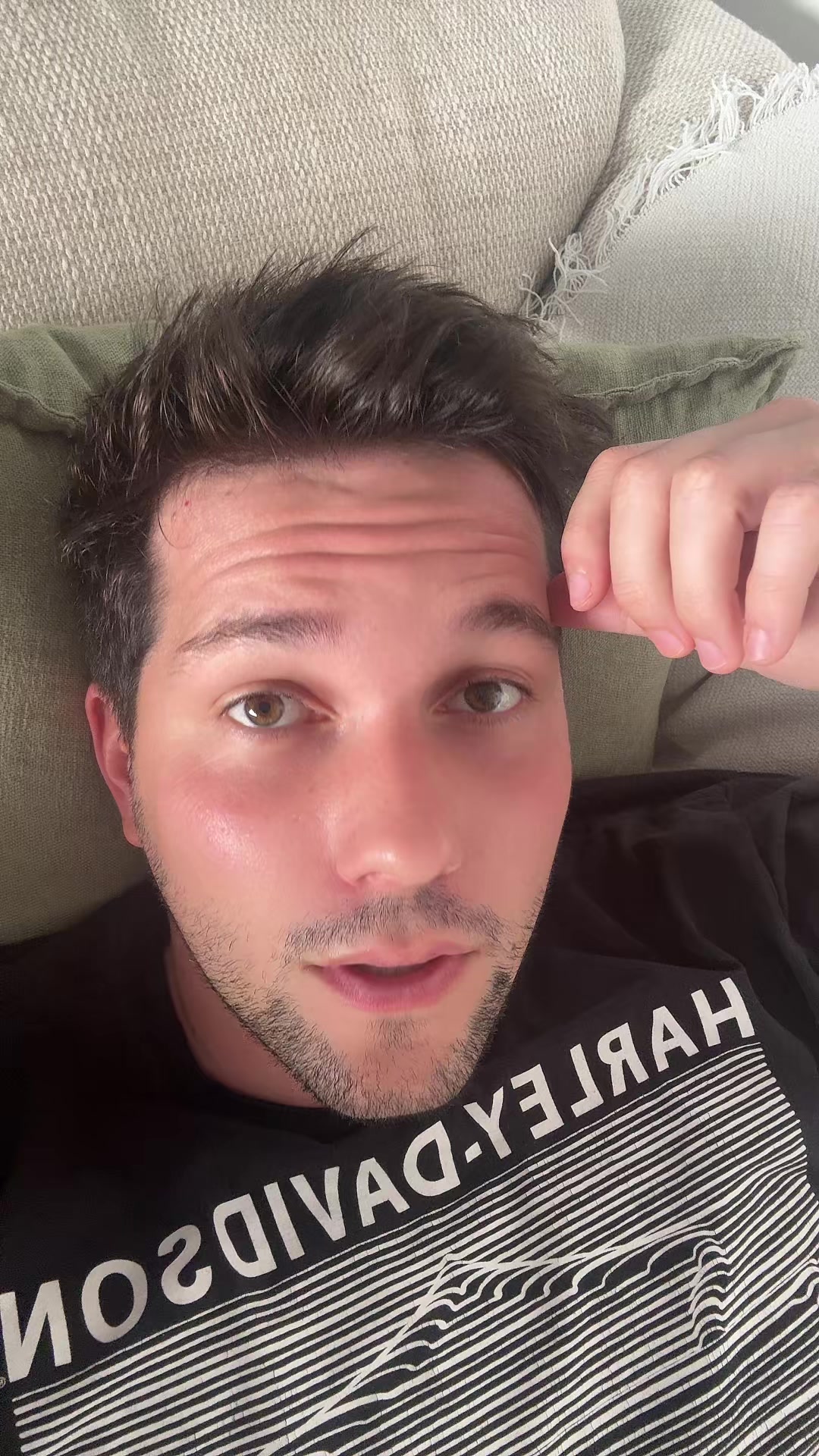 @lastfrenchie