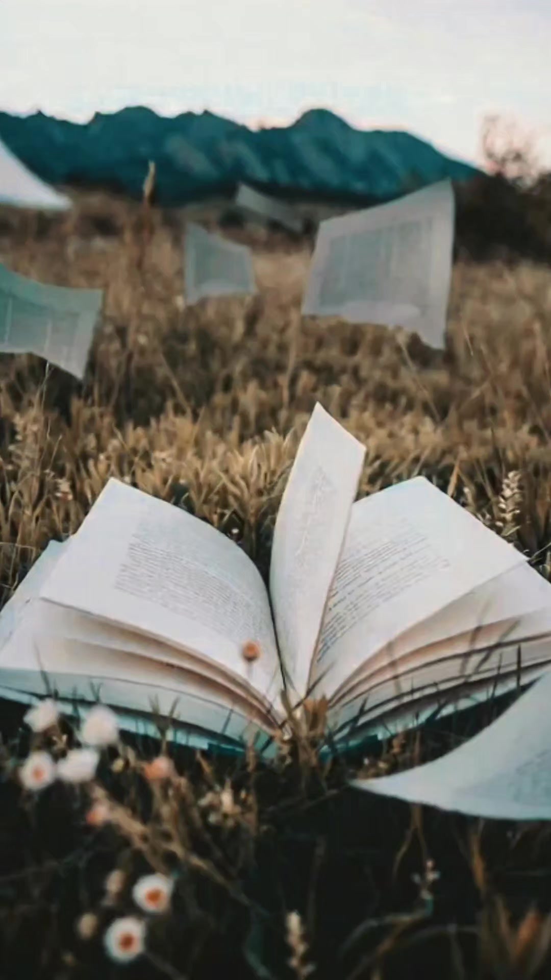 @J Pamela🖤☕📖🍷🍁