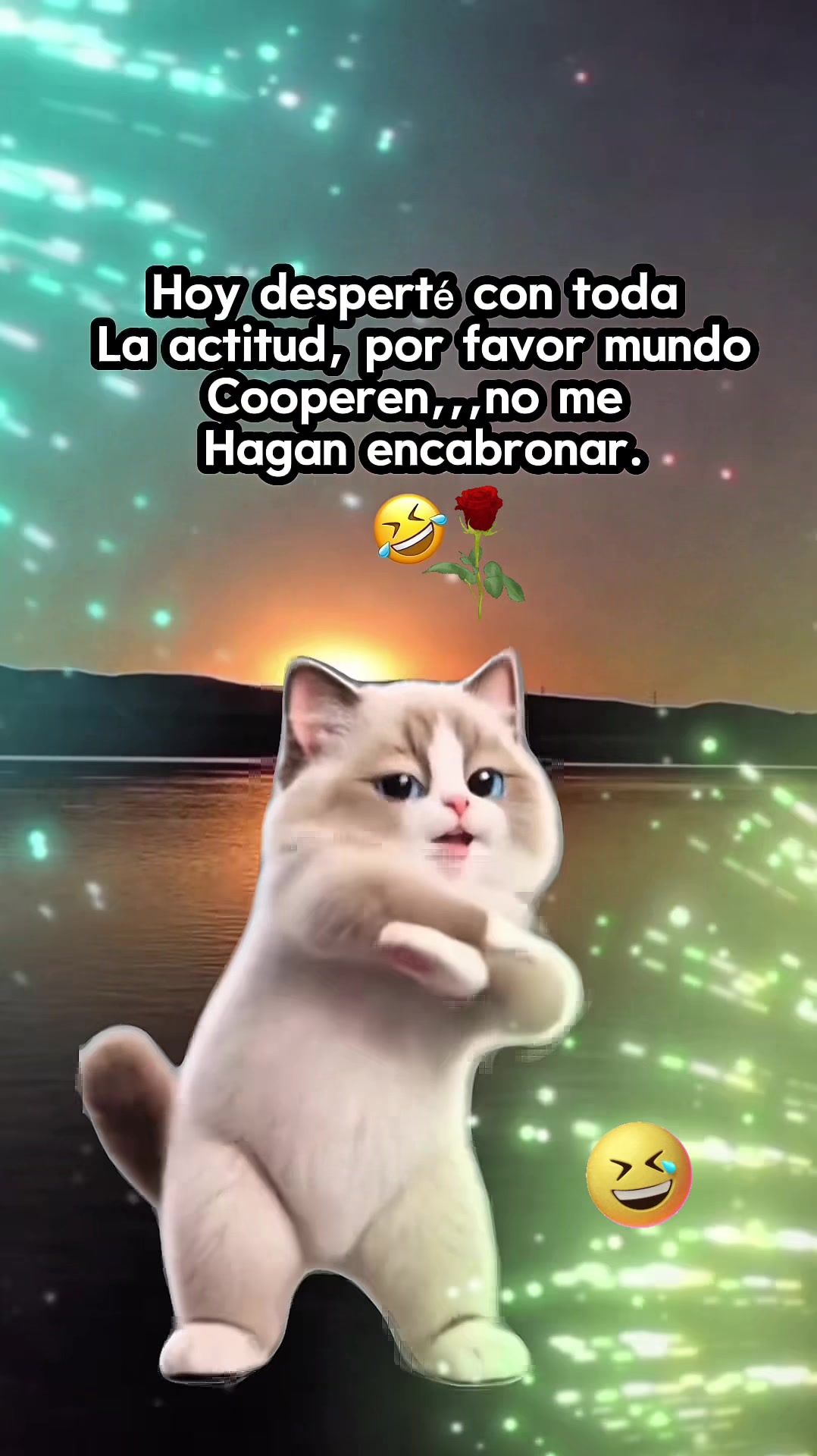@bravo_luisa