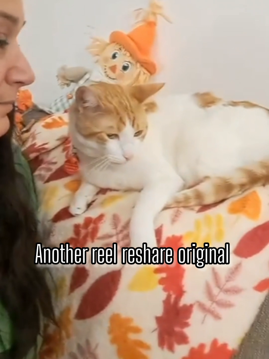 @Candice & Weasley