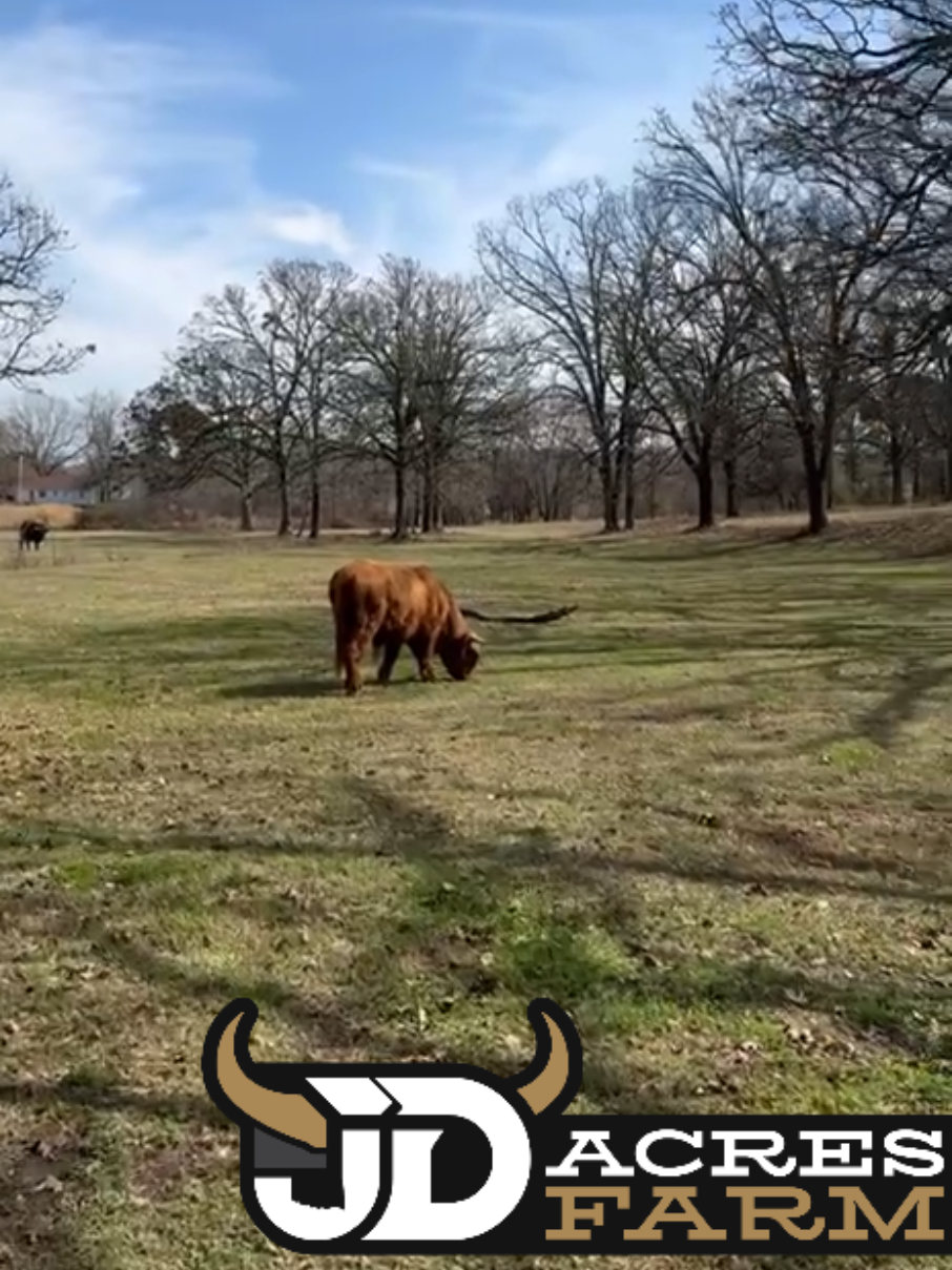 @JD Acres Farm