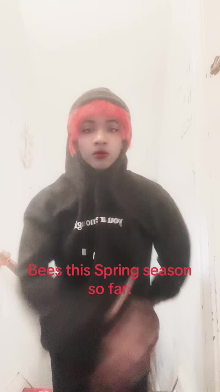 @Daezien Collective