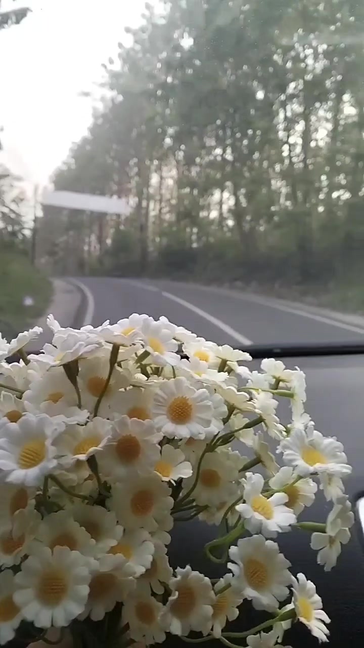 @Rosehaziq