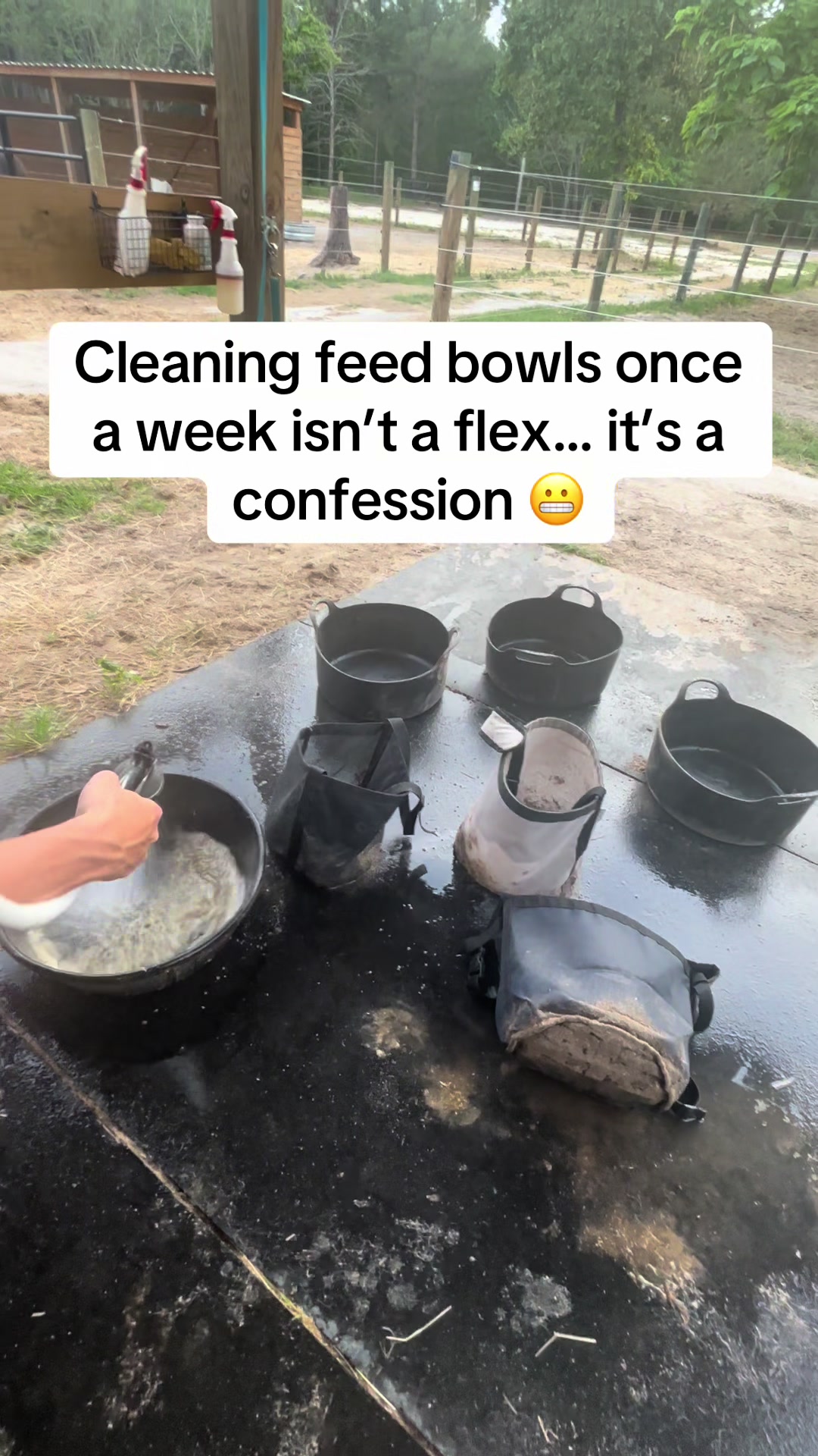 @itiswellstables