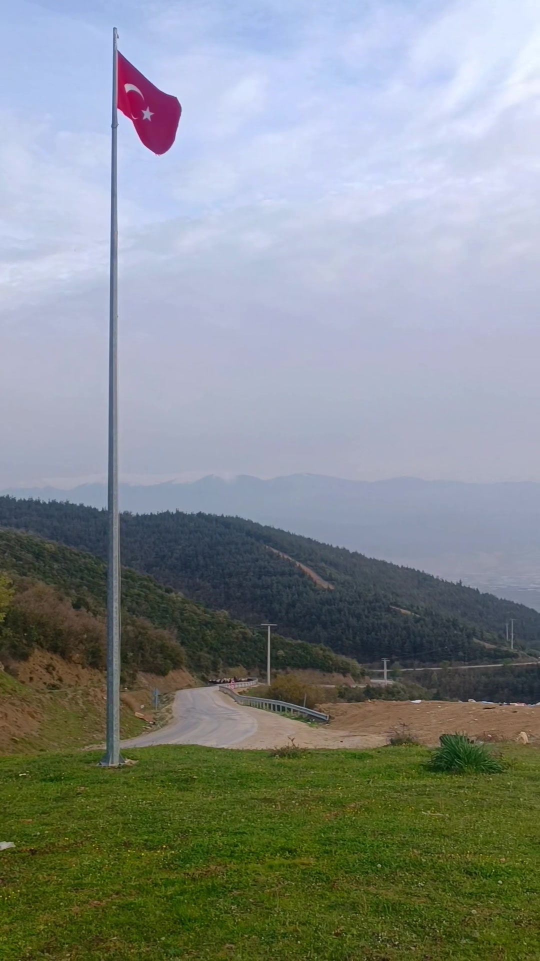 @Sarı