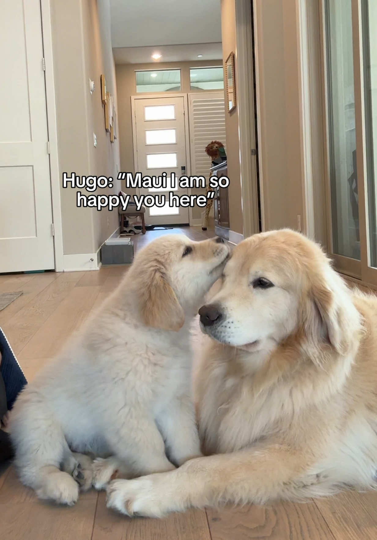 @Maui, Ruby +Hugo