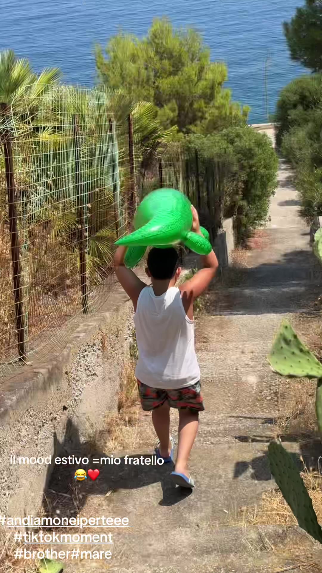 @Ale2834