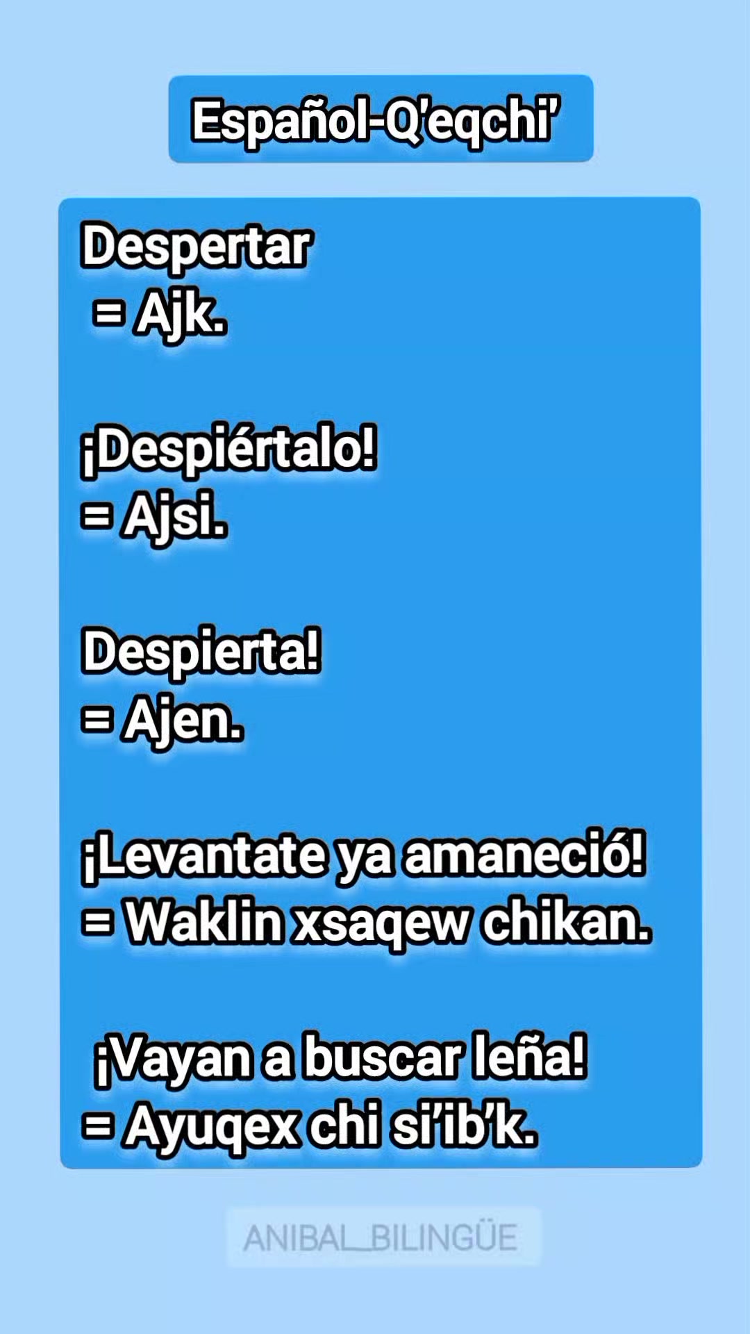 @Anibal🇬🇹