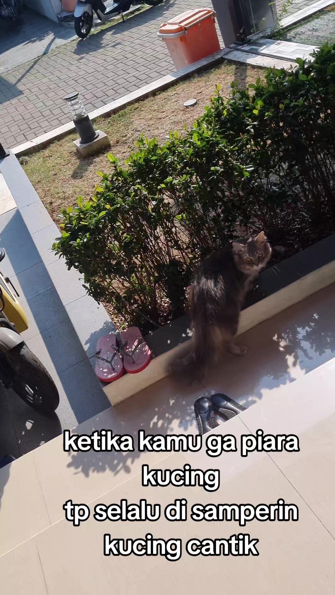 @Angie