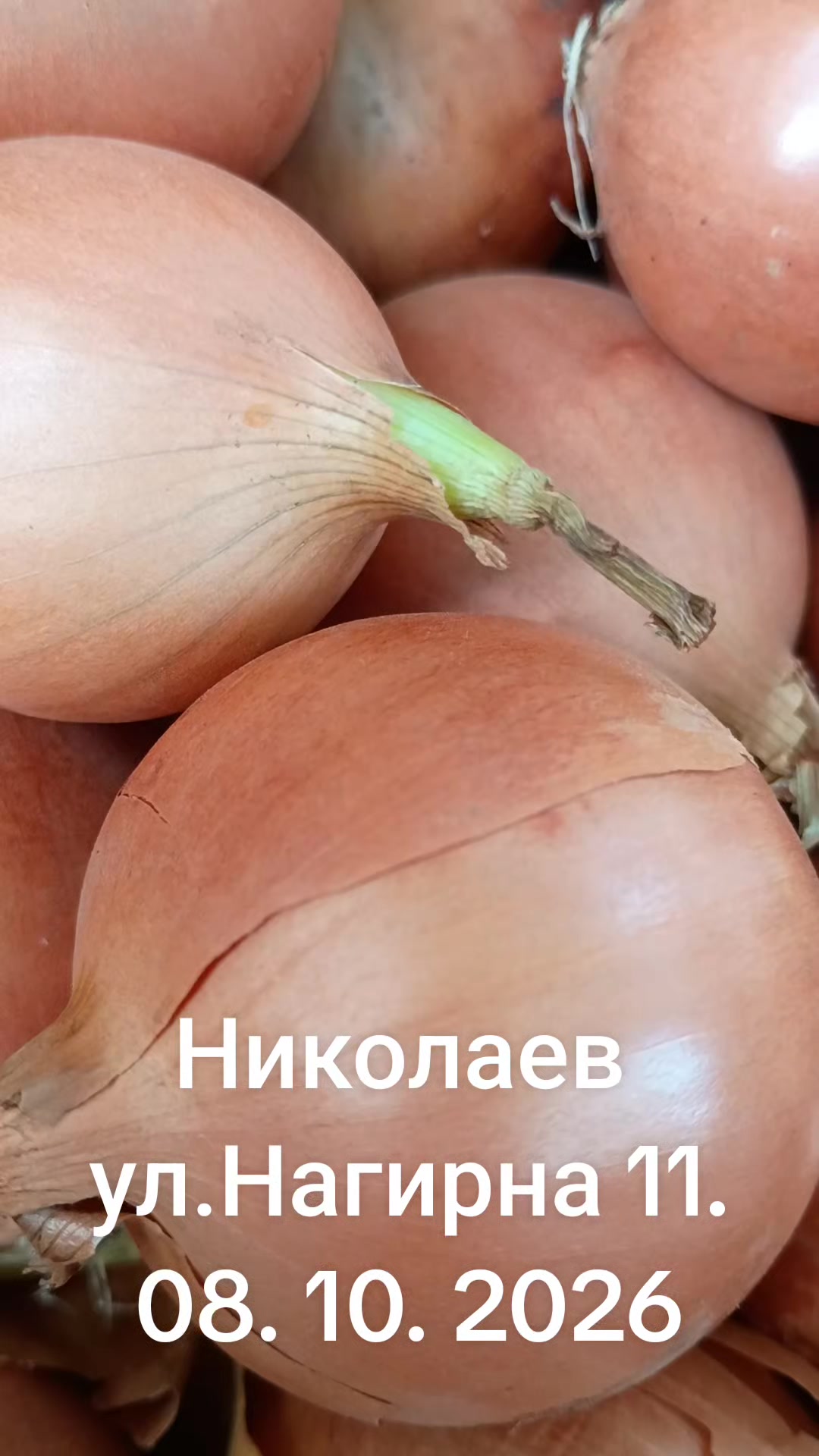 @IOSIF99999