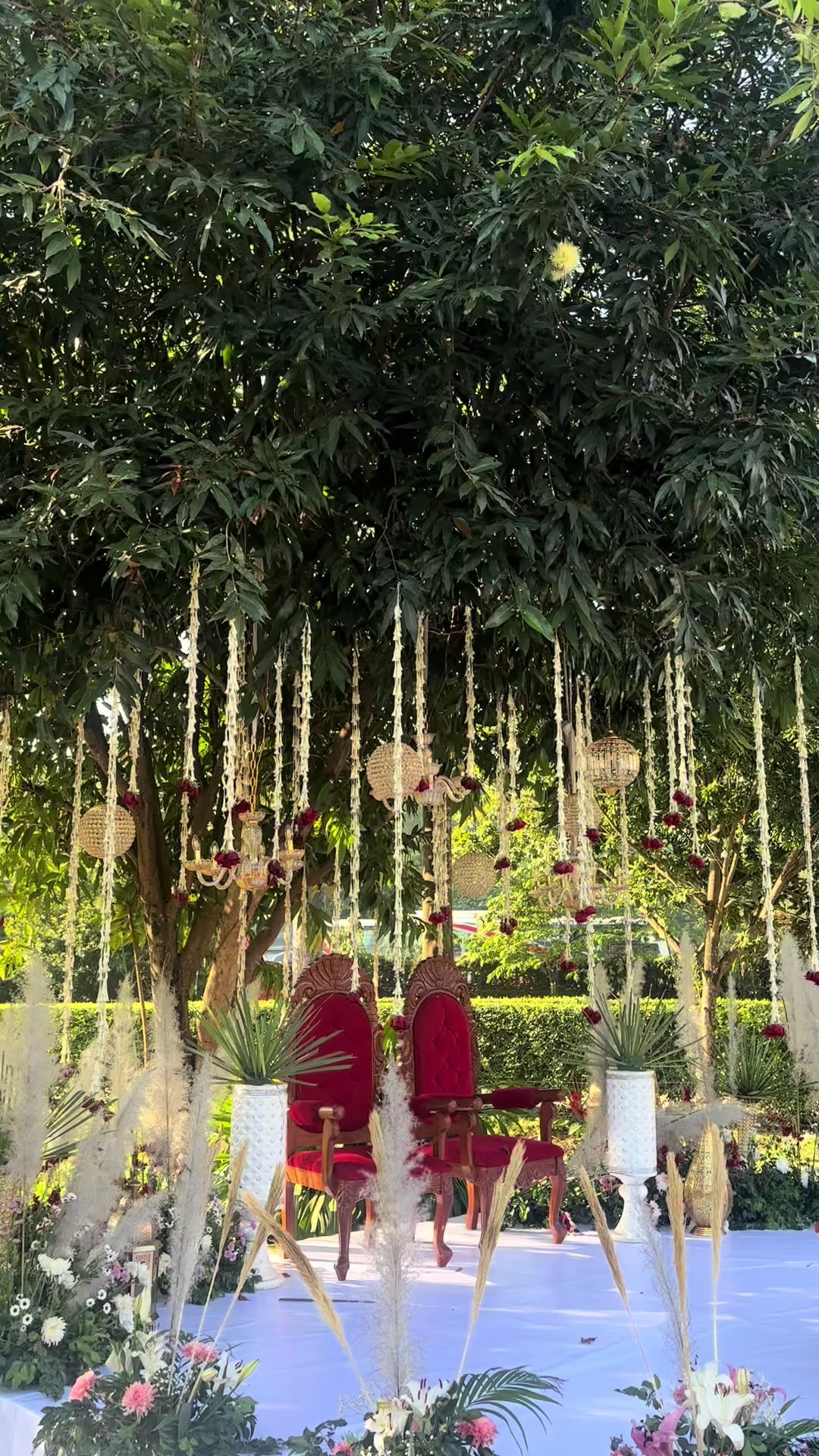 @Jhilimili Events 🧿