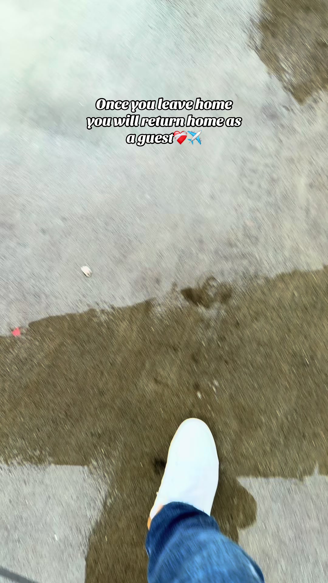 @𝐇𝐚𝐬𝐬𝐮!🔛🔝