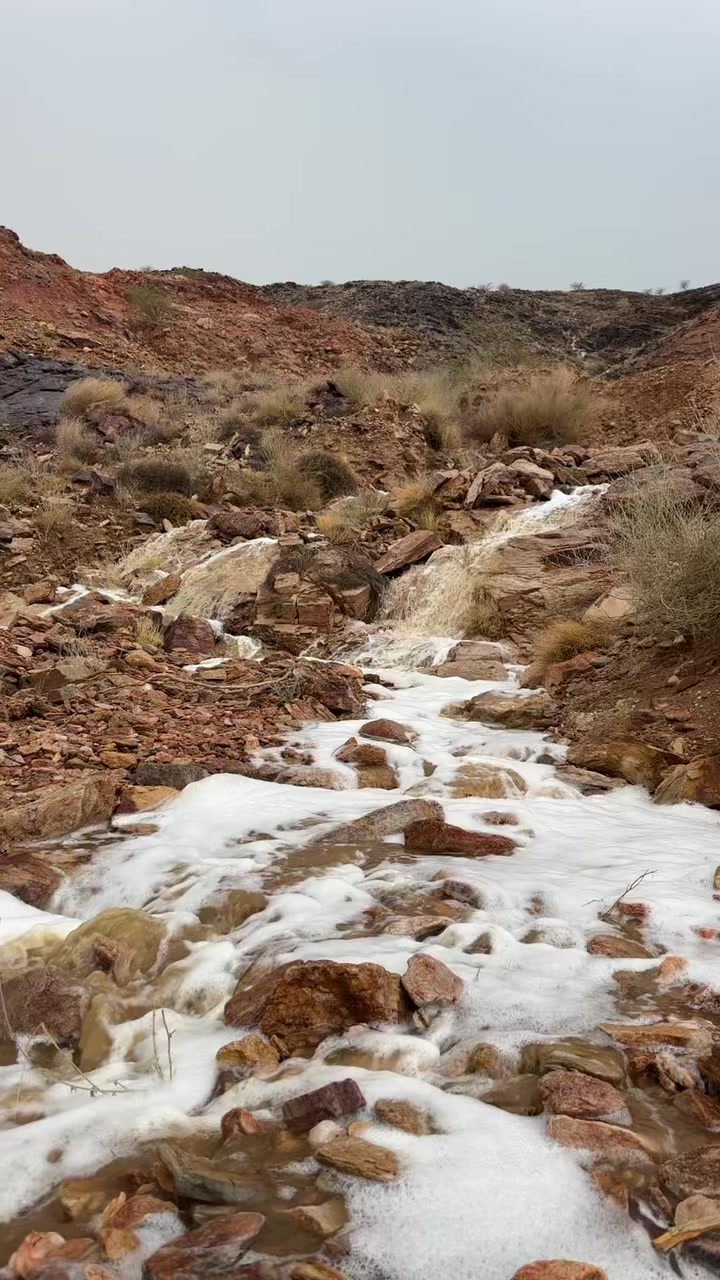 @أبــو أريـــس