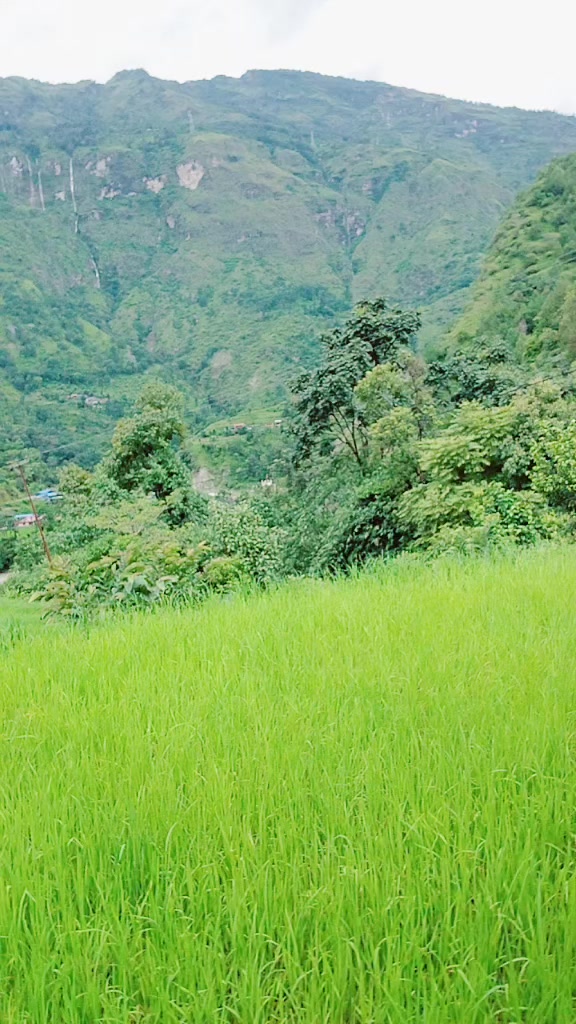 @Devi Khatri
