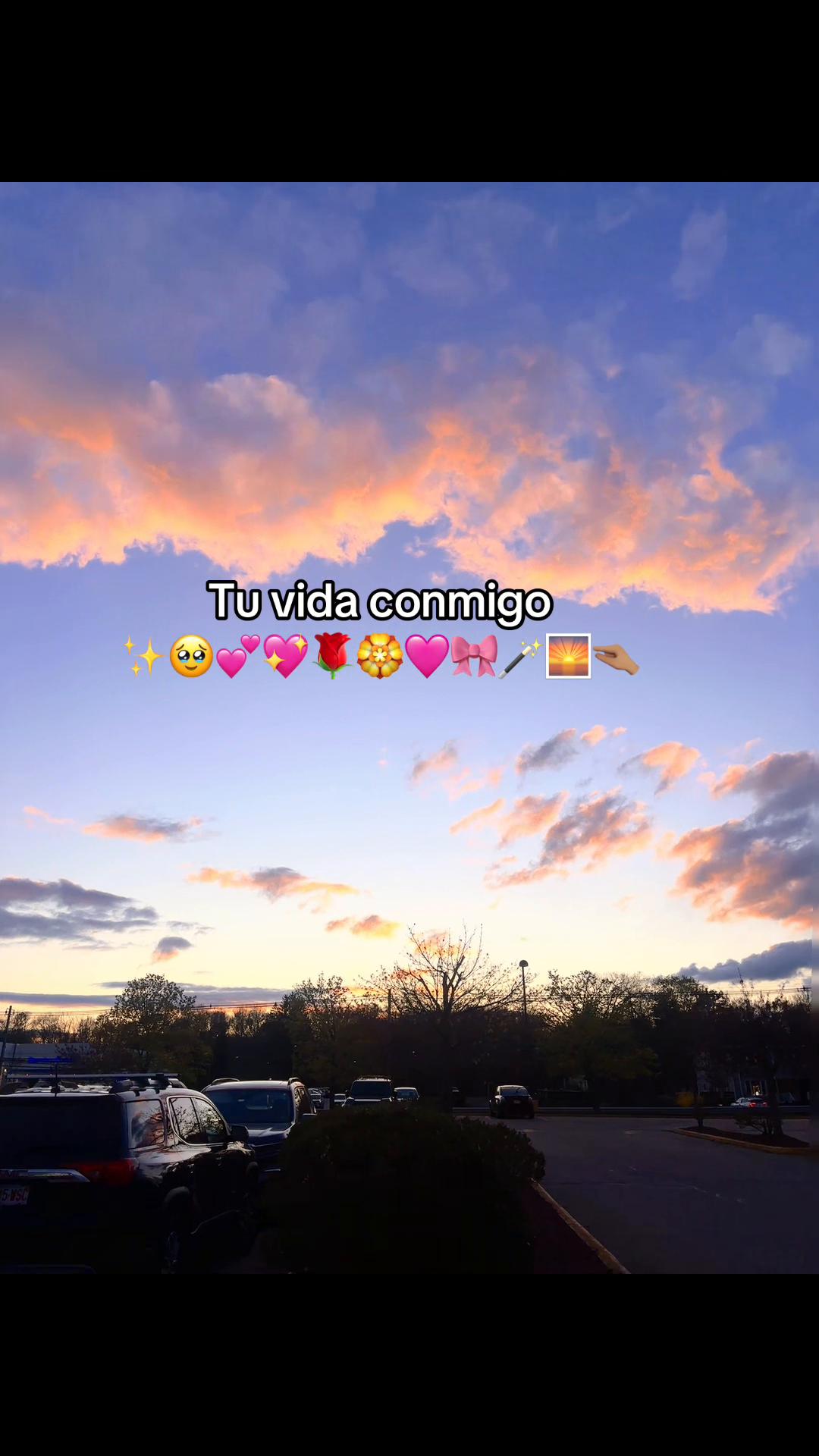 @Marie Pelaez