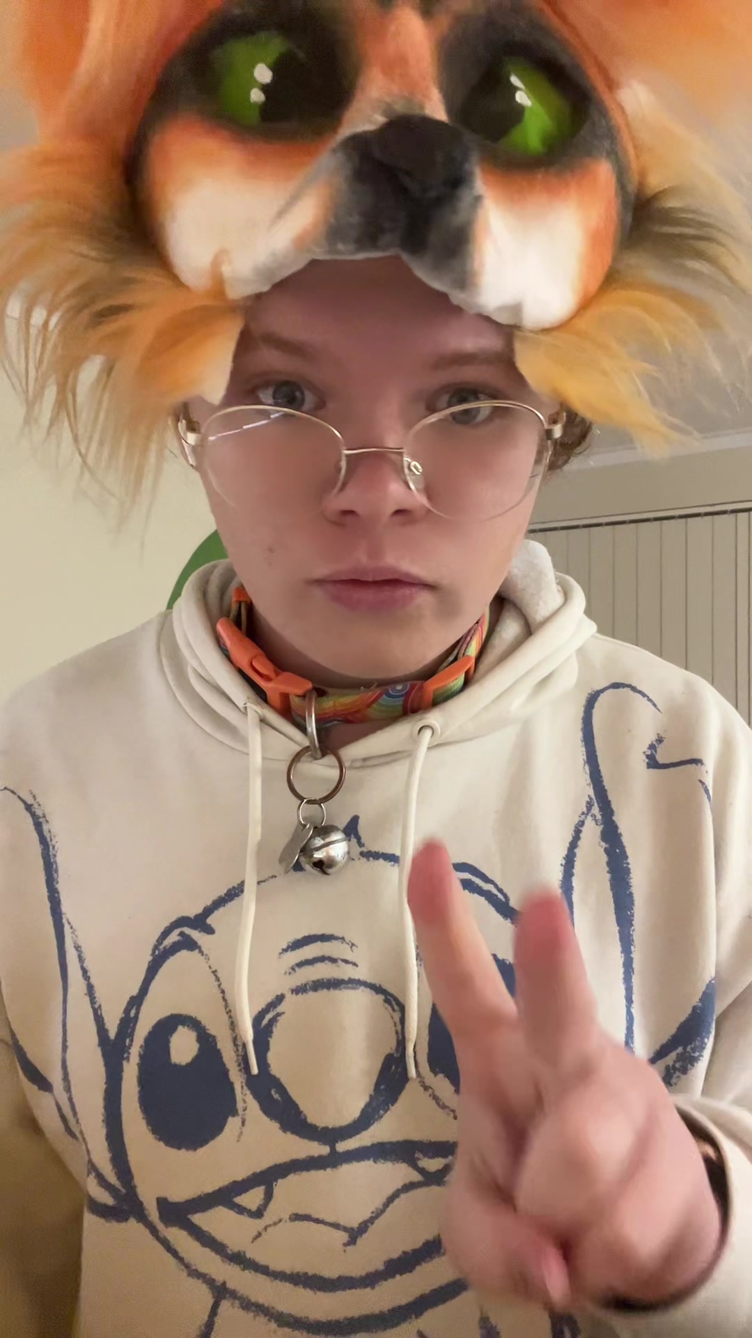@Bryn 🦊