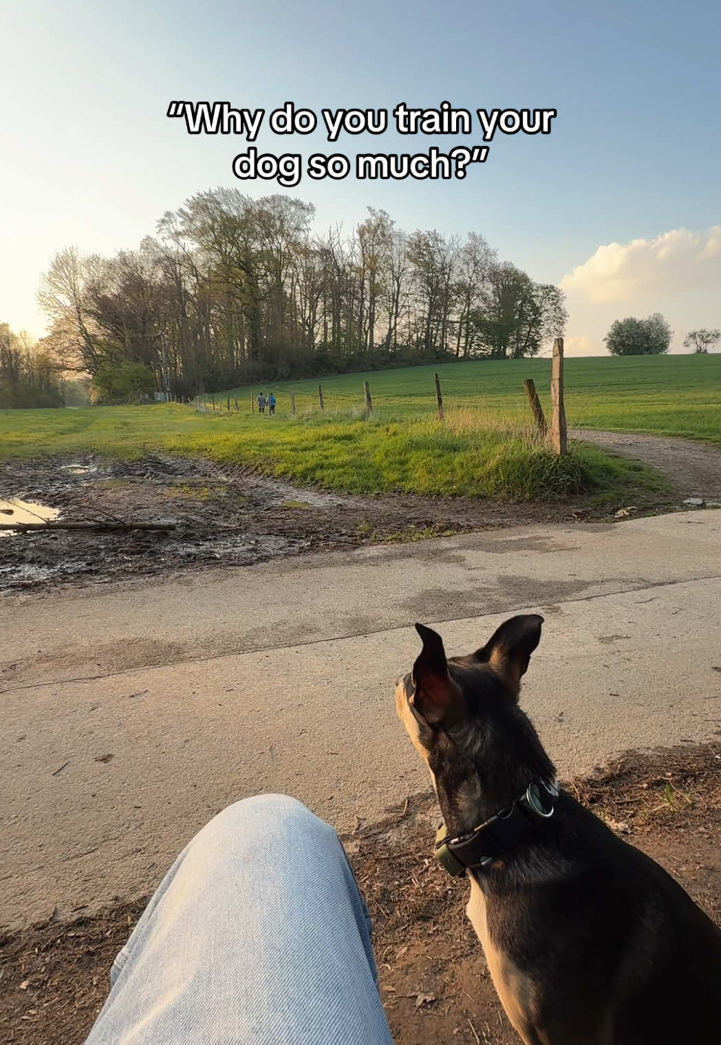 @🐾