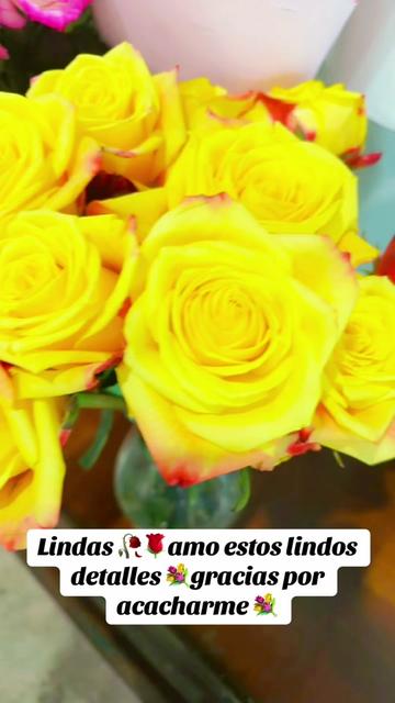 @💙🌞βĂŔβĨĔ🌛🧩