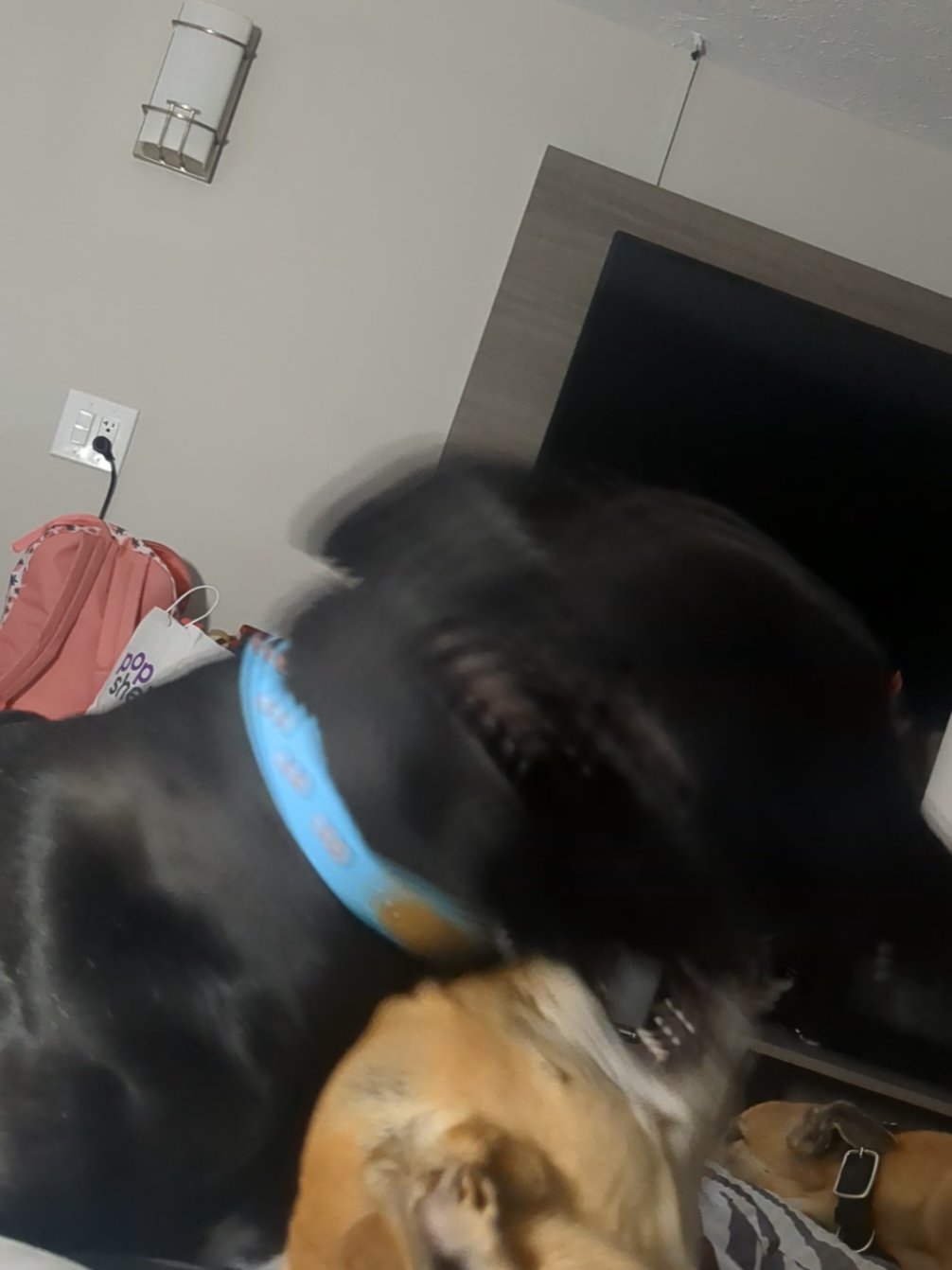 @Kat