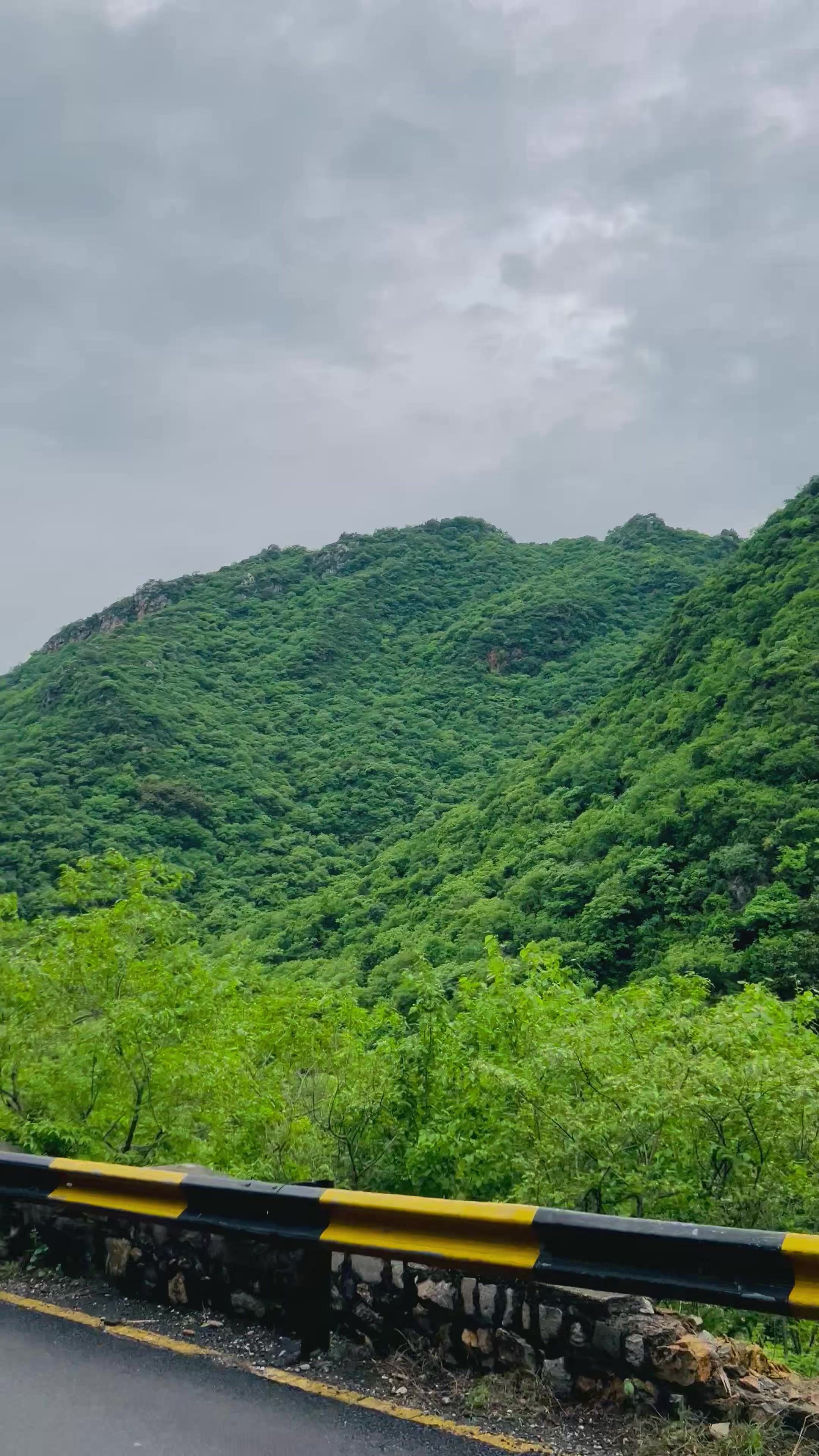@𝐋𝐨𝐯𝐞-𝐋𝐢𝐟𝐞-OF-𝐈𝐒𝐁🍃