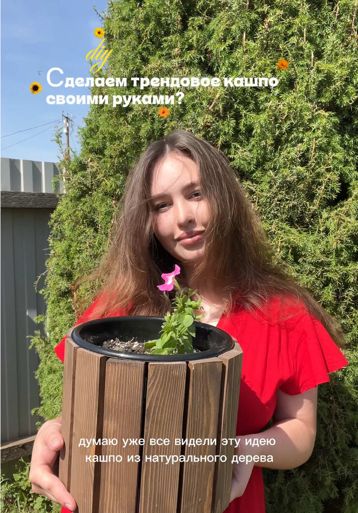 @vlada.sew