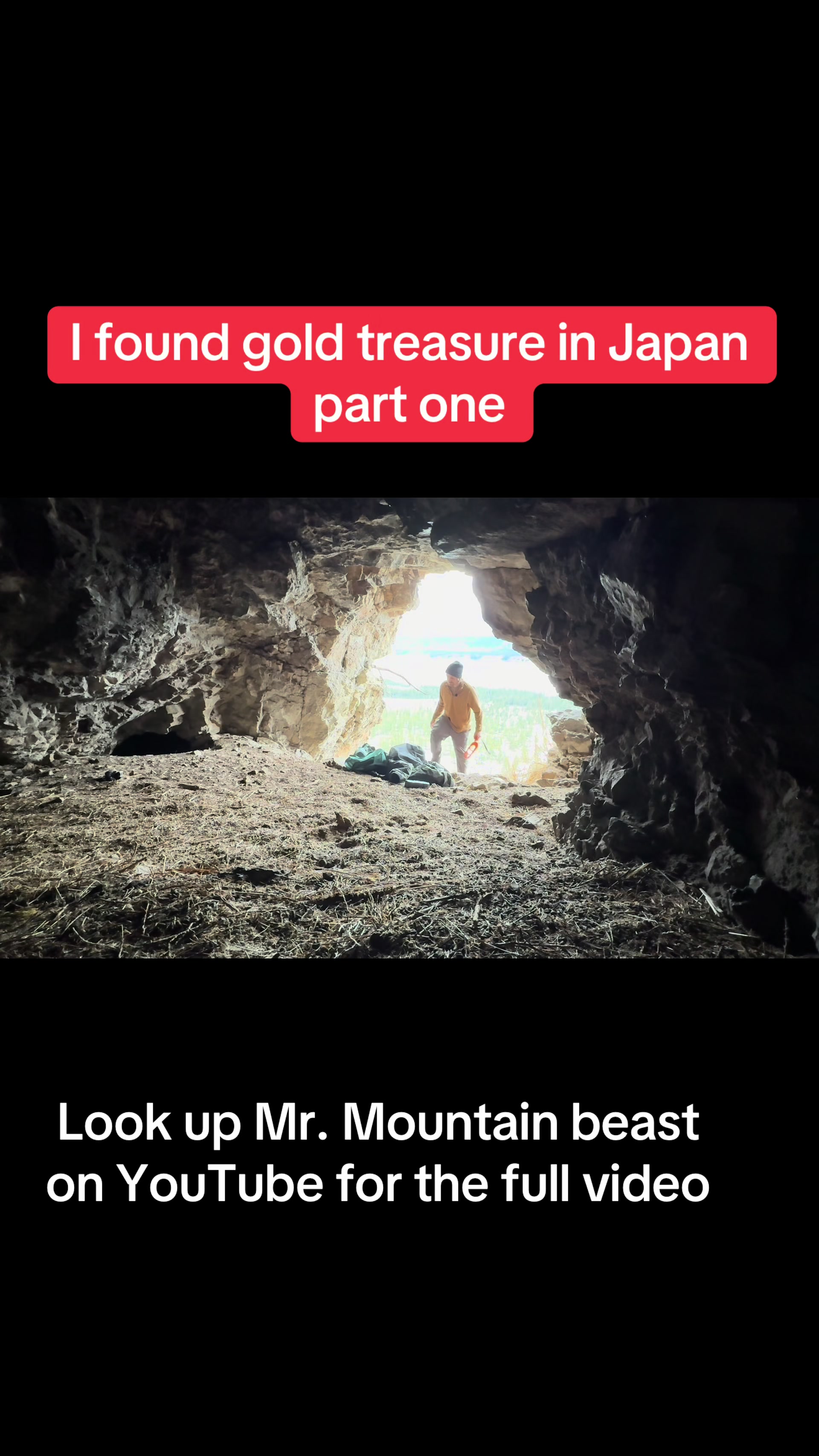 @Mr.mountainbeast