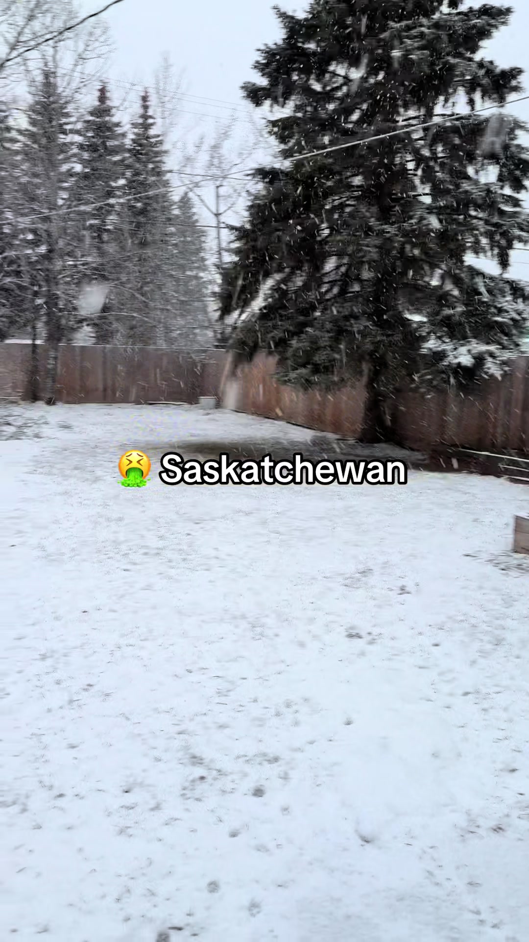 @akaiser🇨🇦