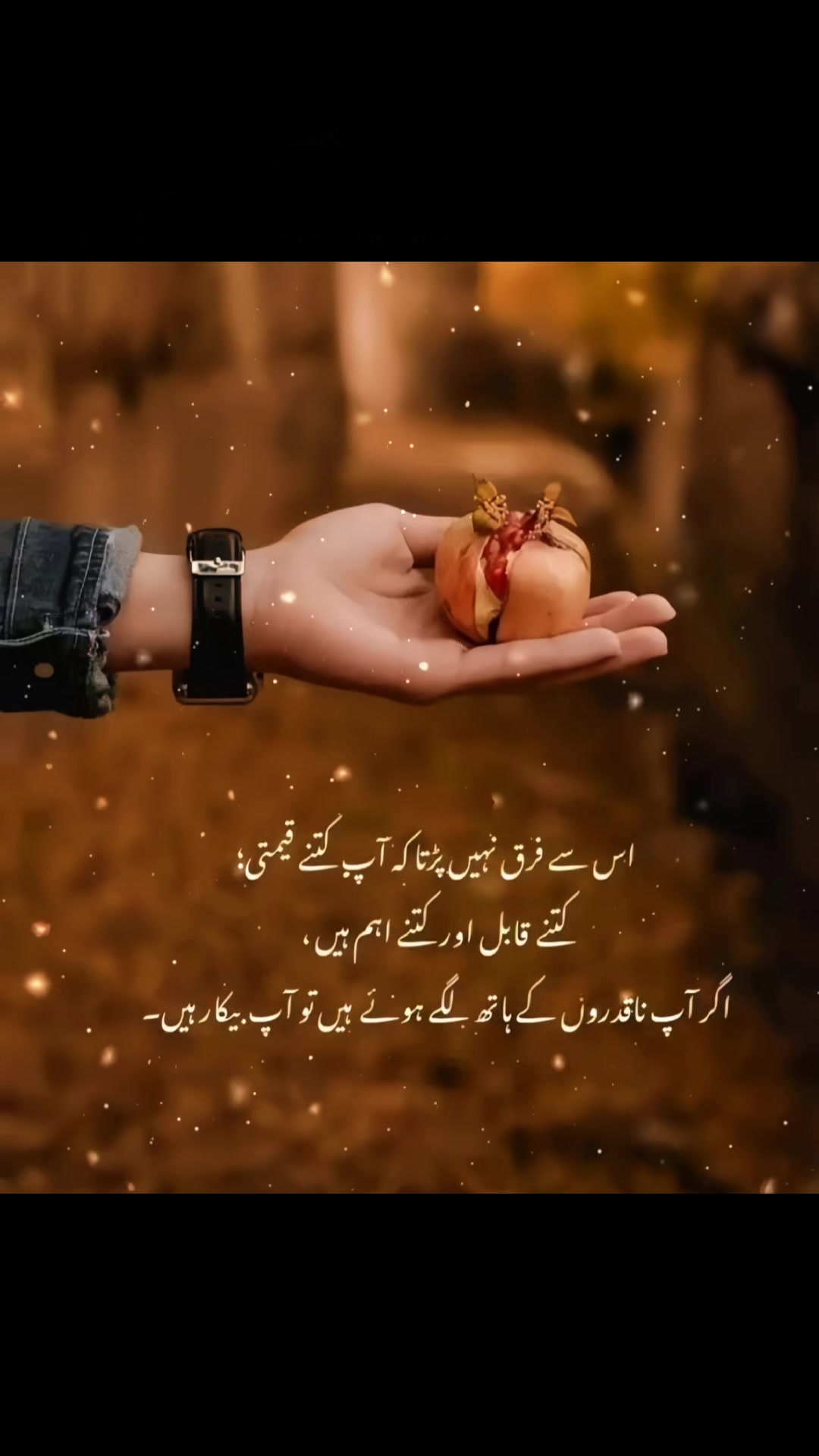 @Areej Shafiq