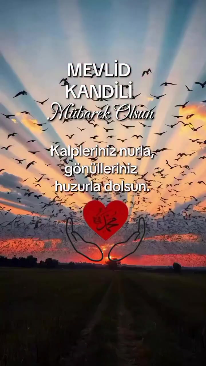 @Hasan Yılmaz