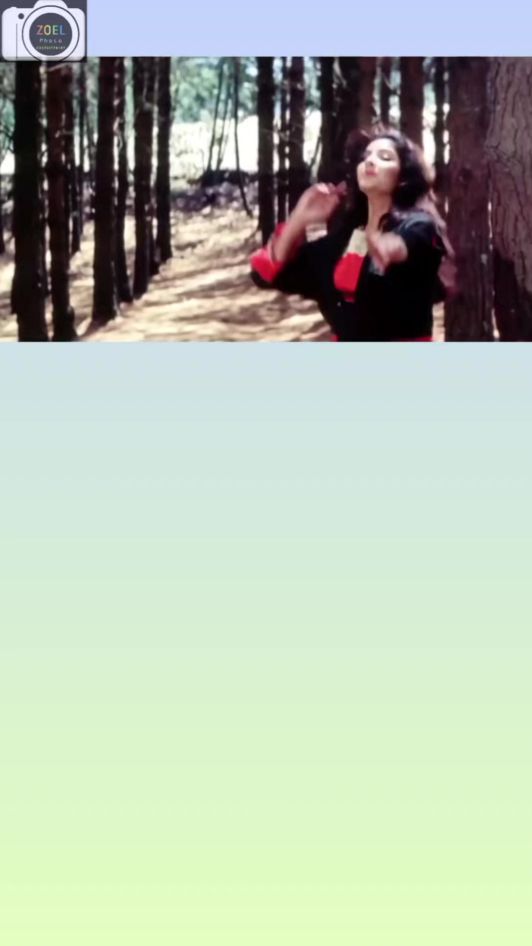 @pangeran zoel