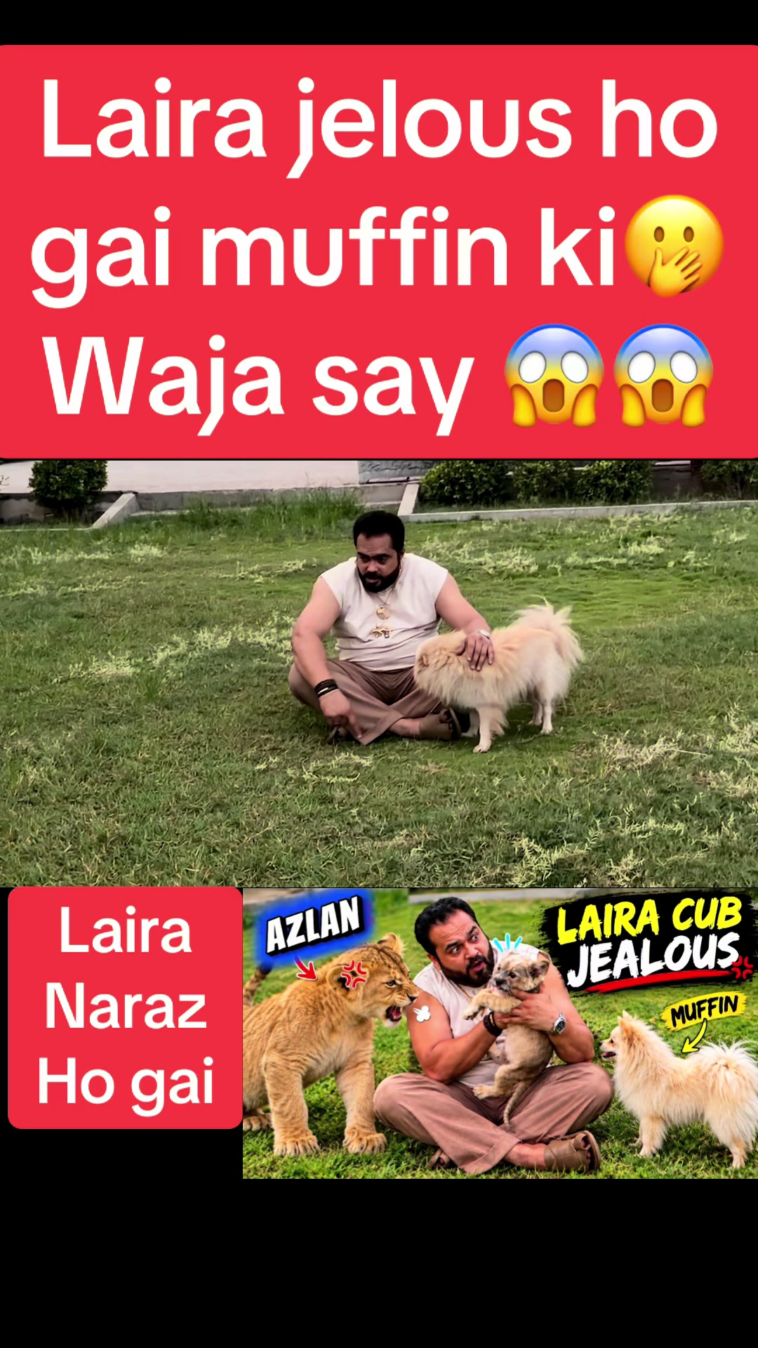 @Mian saqib