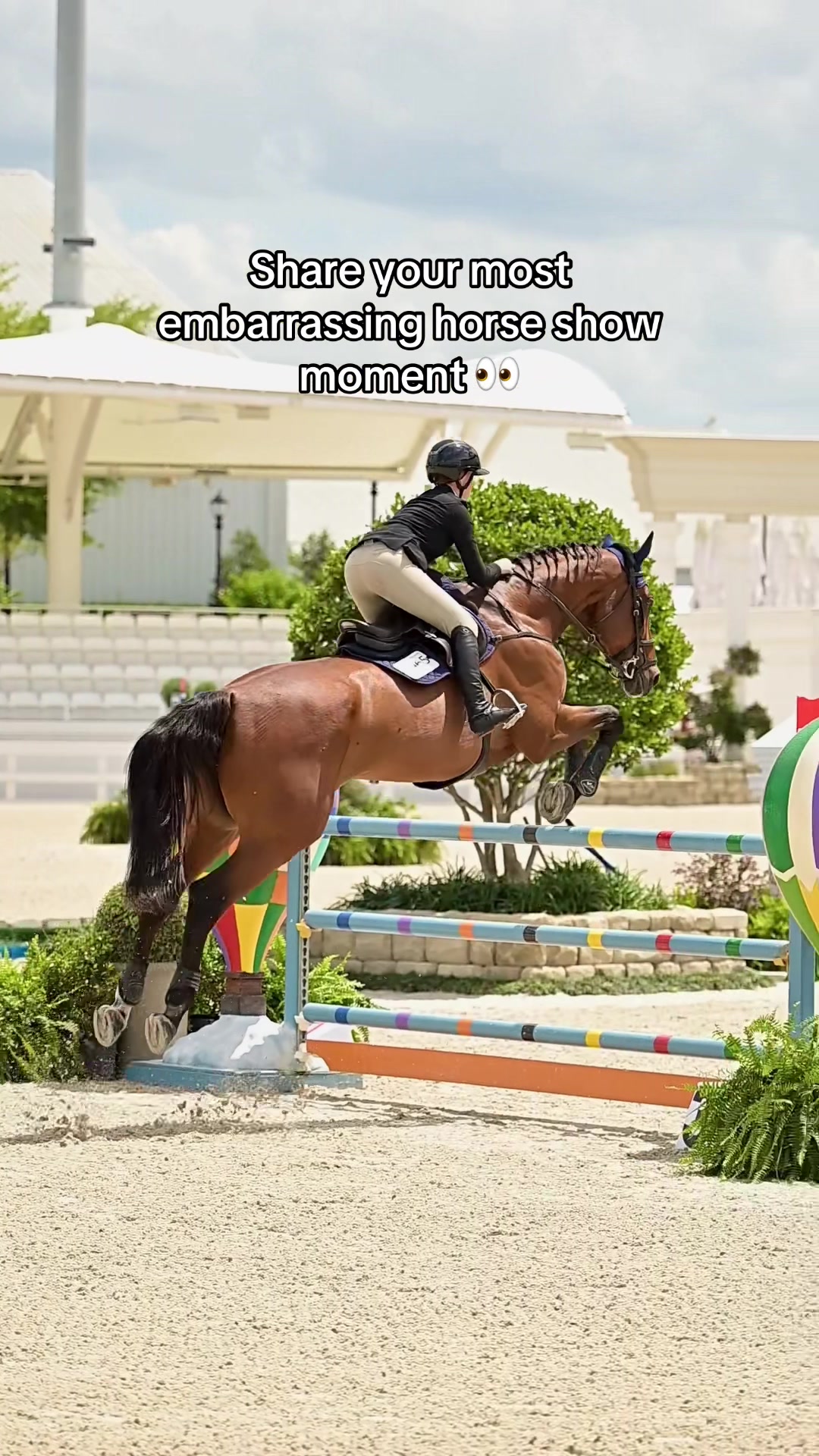@Free Ride Equestrian