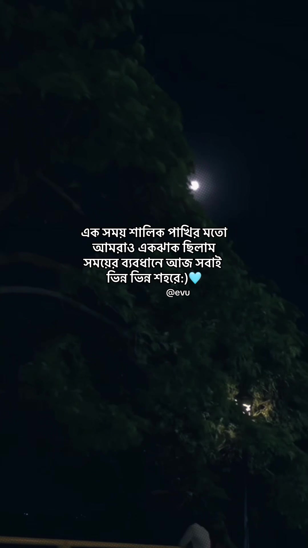 @Evu?đˇī¸