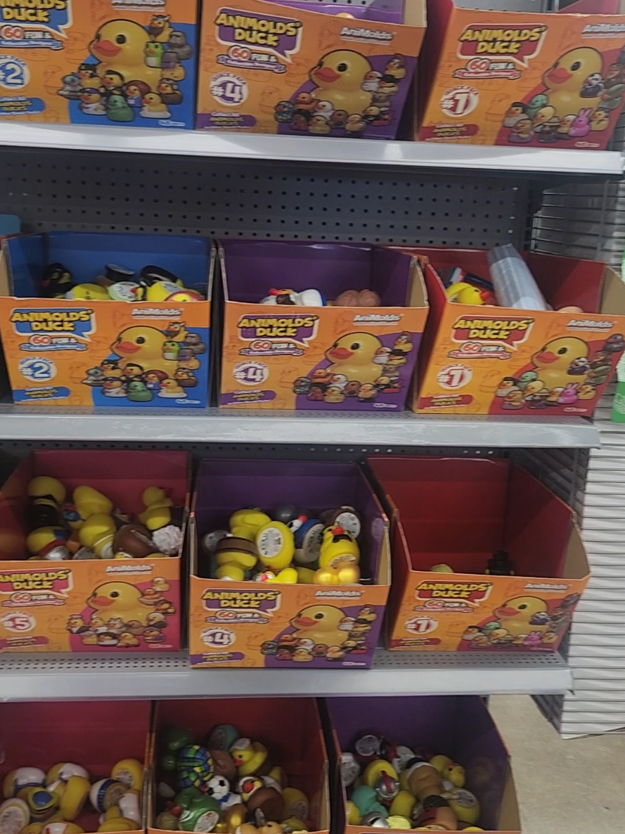@Lord of the Ducks