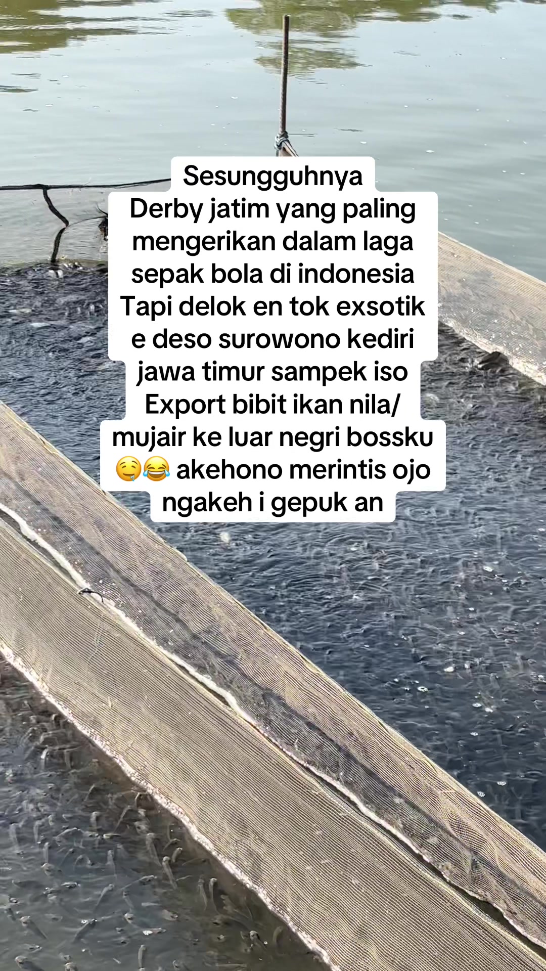 @bibitikanjawatimur