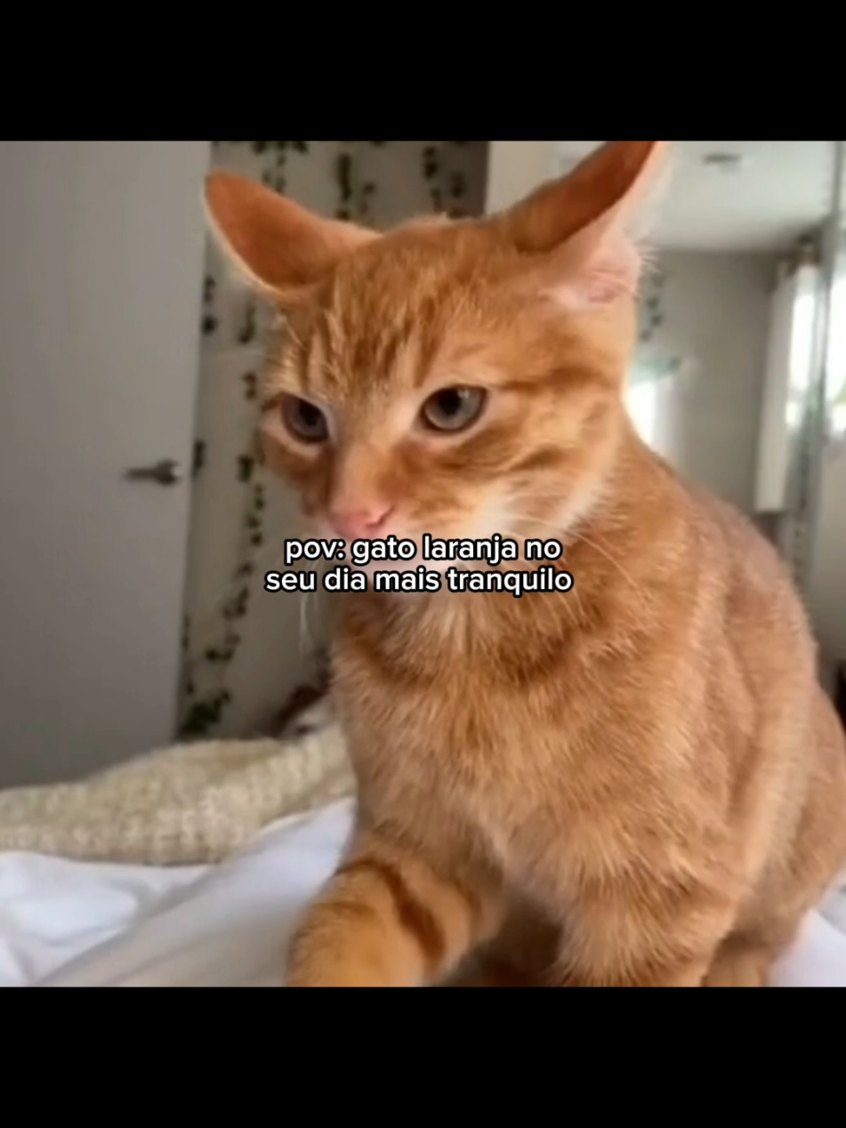 @Manu😼