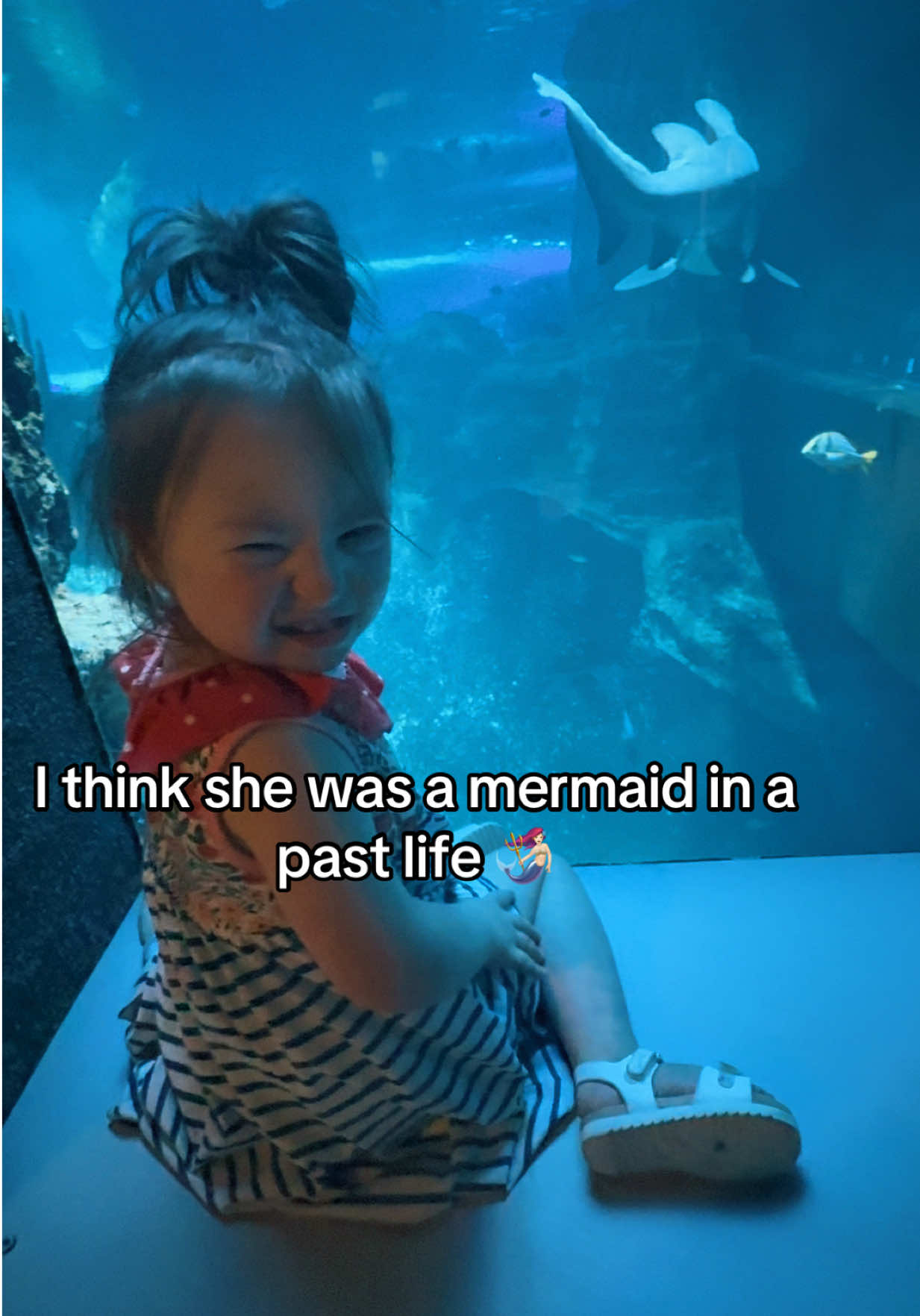 @Kami