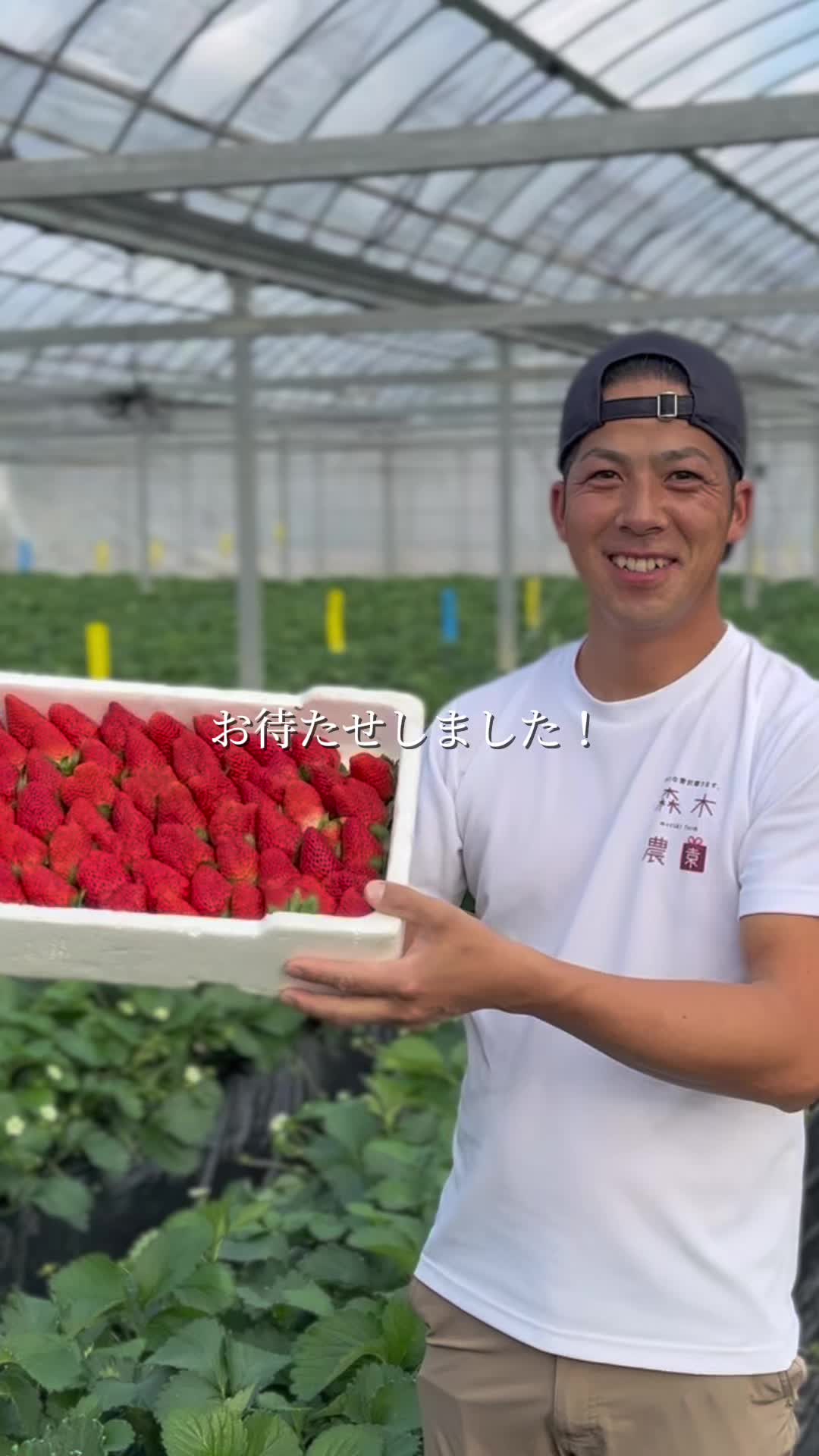 @森木農園