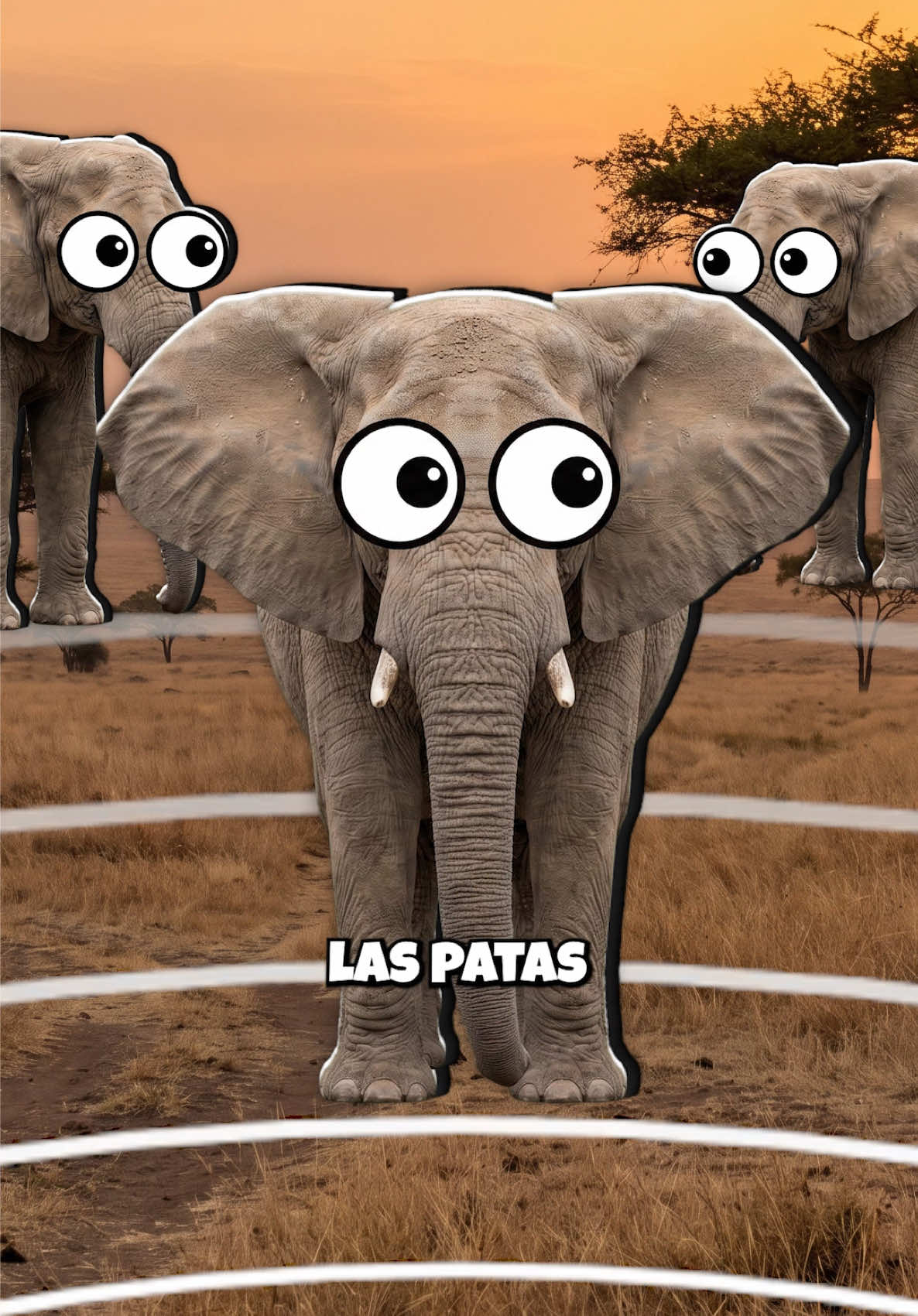 @GabSolf