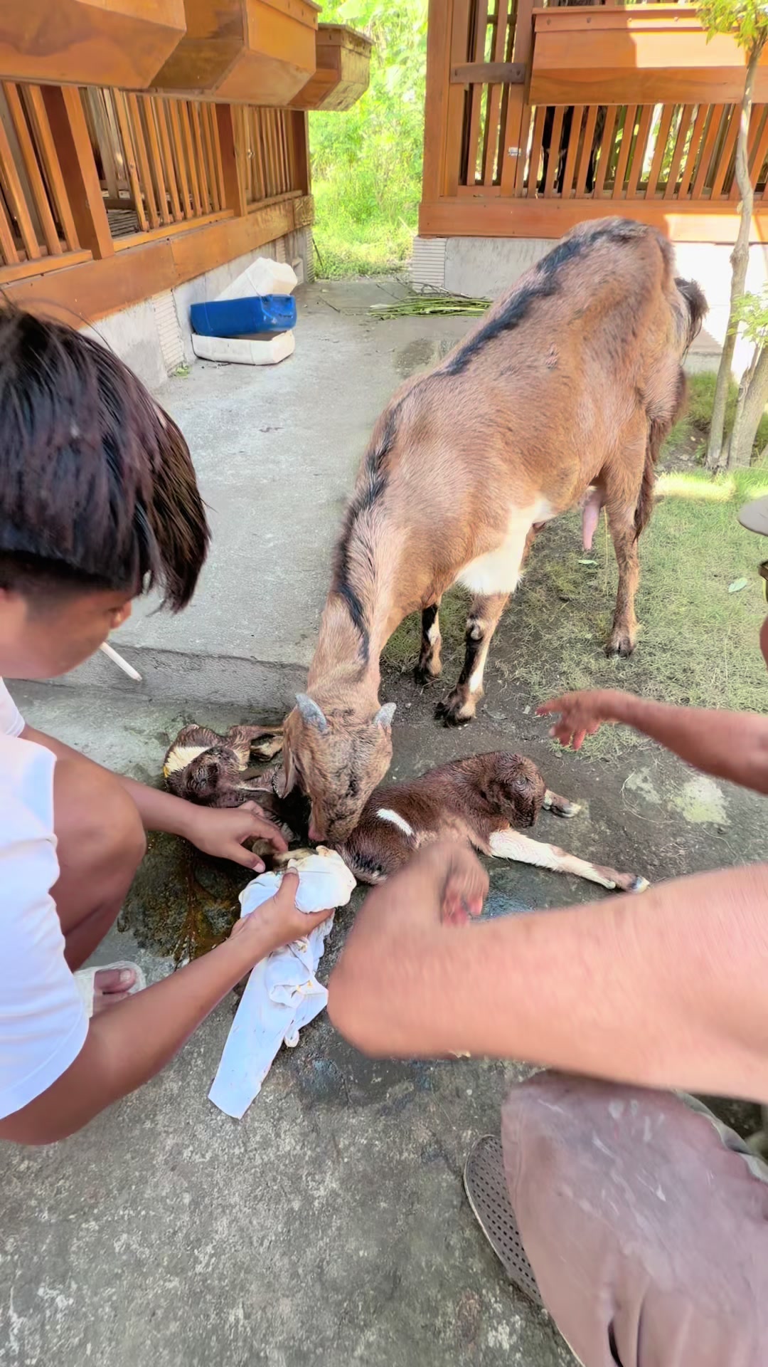 @BRIAN FARM