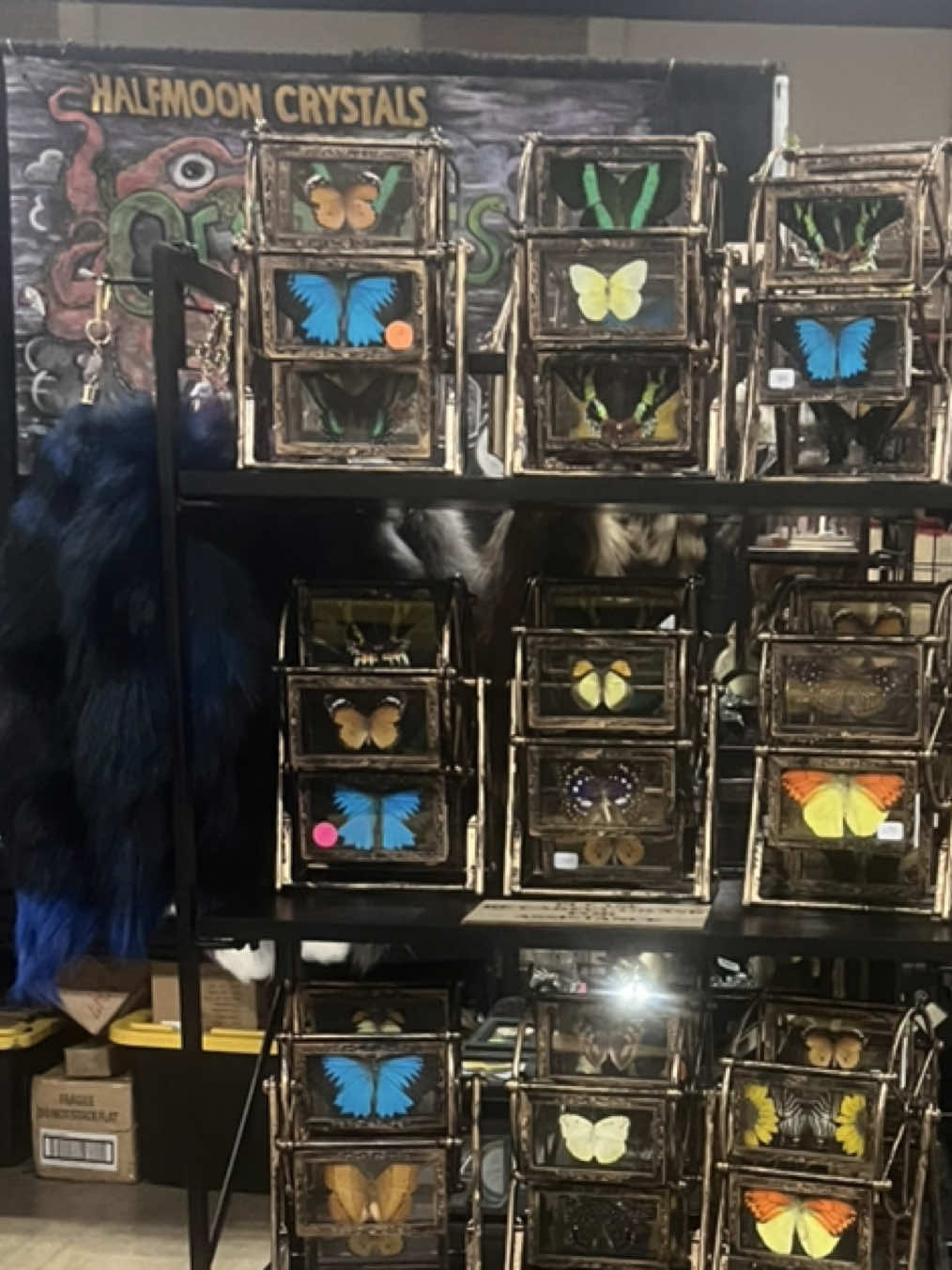 @Half Moon Crystals & Oddities